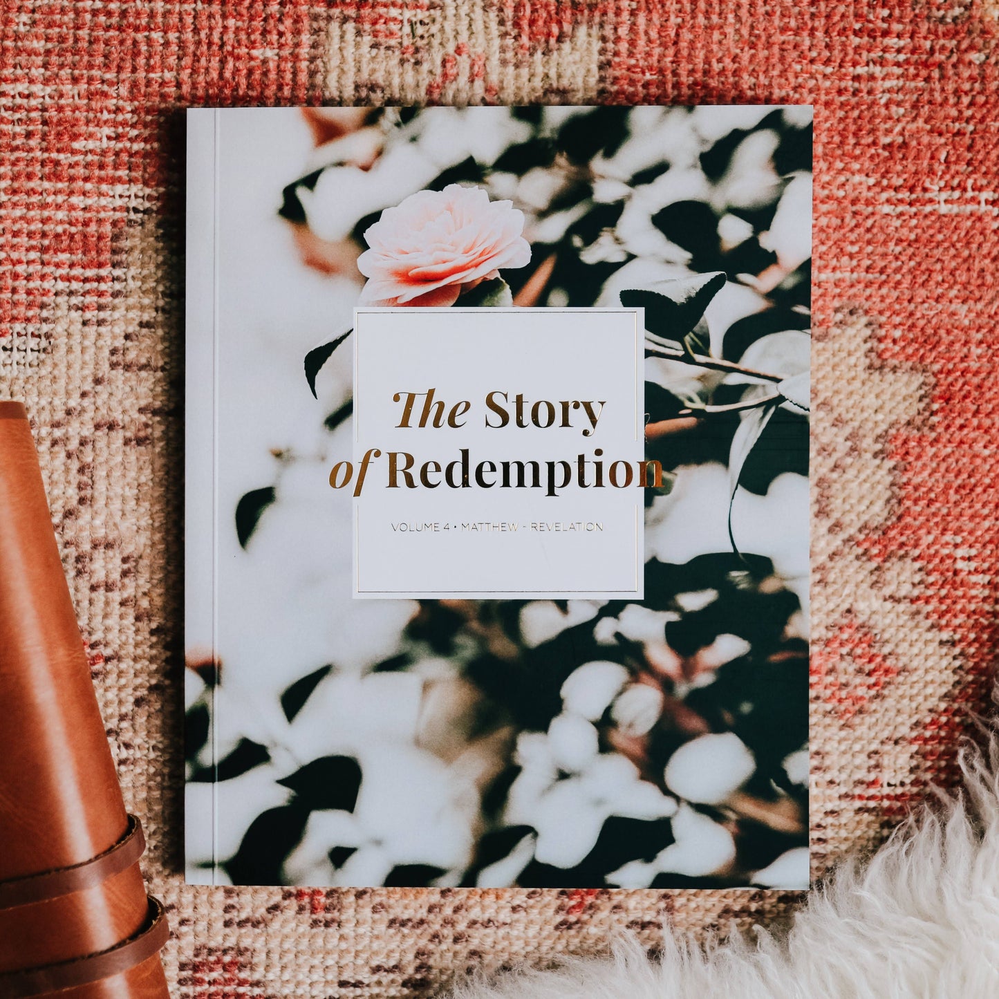 The Story of Redemption | Vol. 4 Study