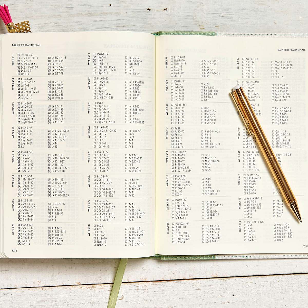 CSB Notetaking Bible| Sage Blooms