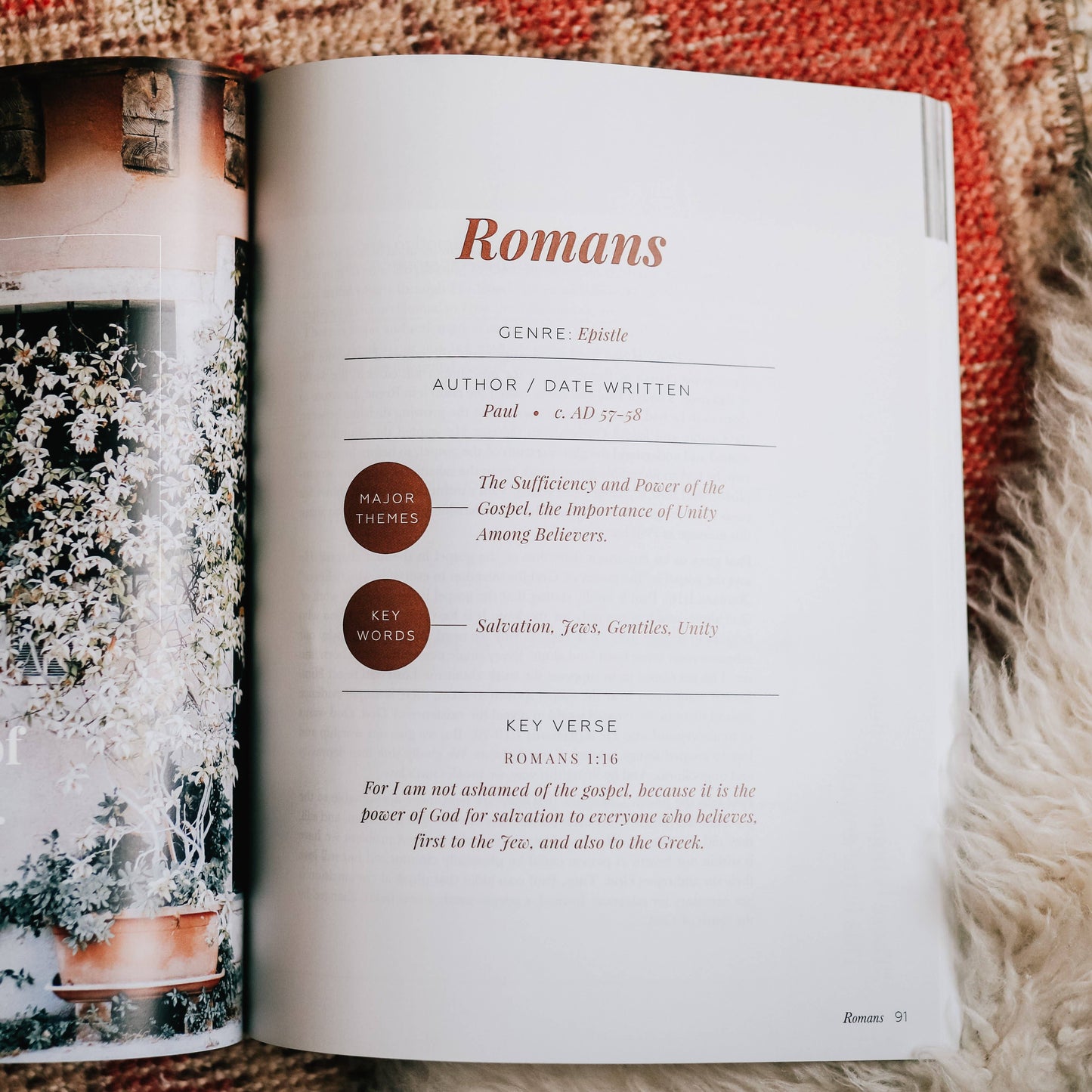 The Story of Redemption | Vol. 4 Study