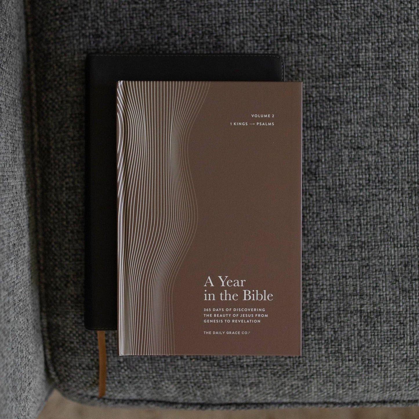 A Year in the Bible Volume 2: 1Kings-Psalms | Men's Study