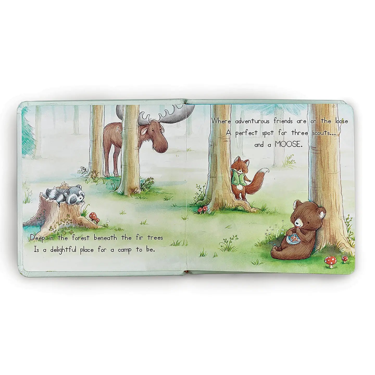 Camp Cricket | Where Friends, Help Friends