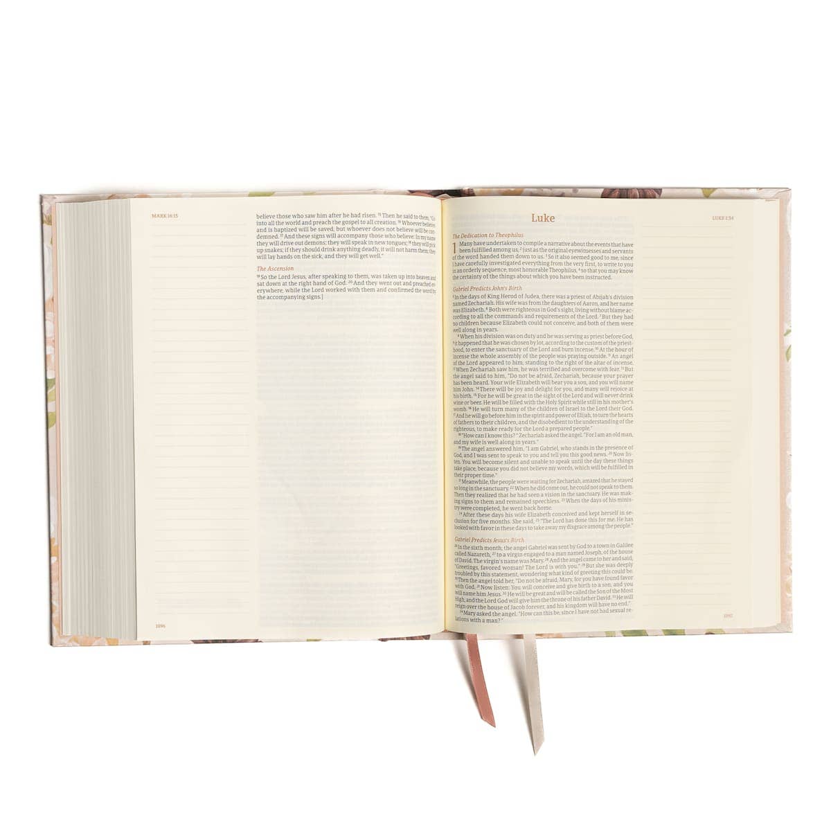 CSB Large Print Bible | Blush Garden