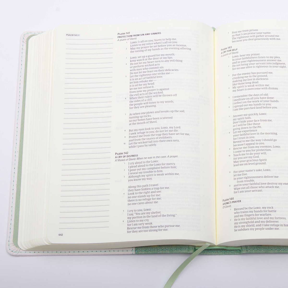 CSB Notetaking Bible| Sage Blooms