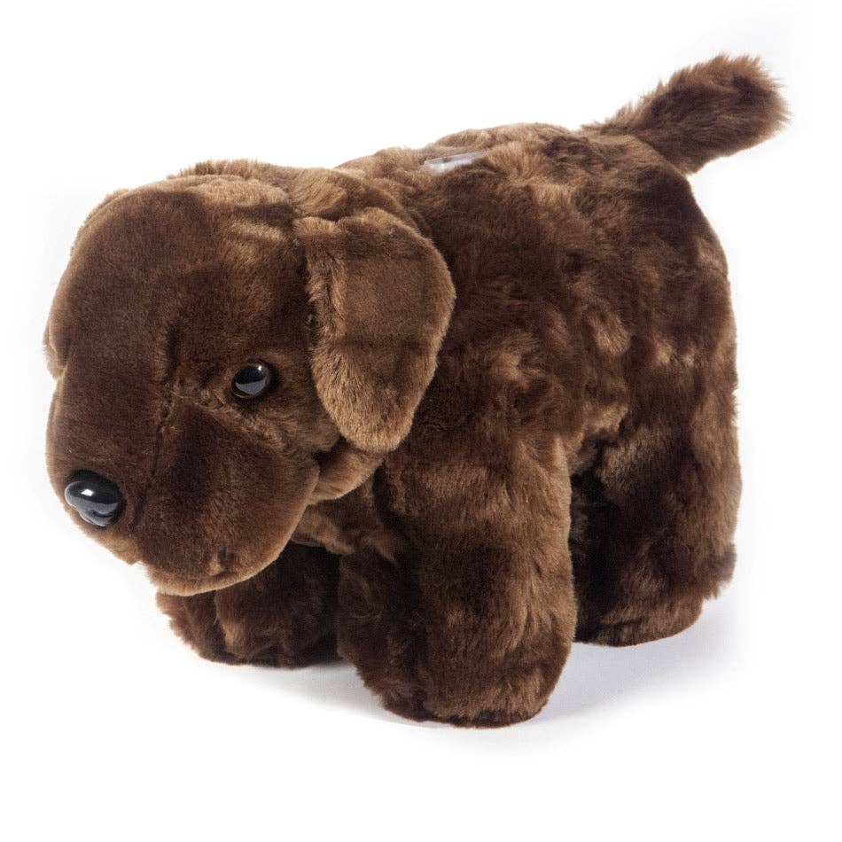 Chocolate Lab Dog Coin Bank