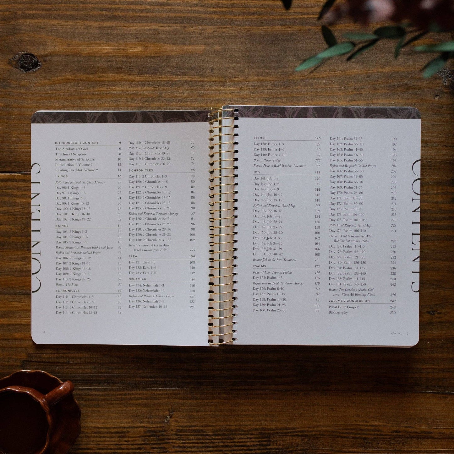 A Year in the Bible Volume 2 | 1 Kings-Psalms