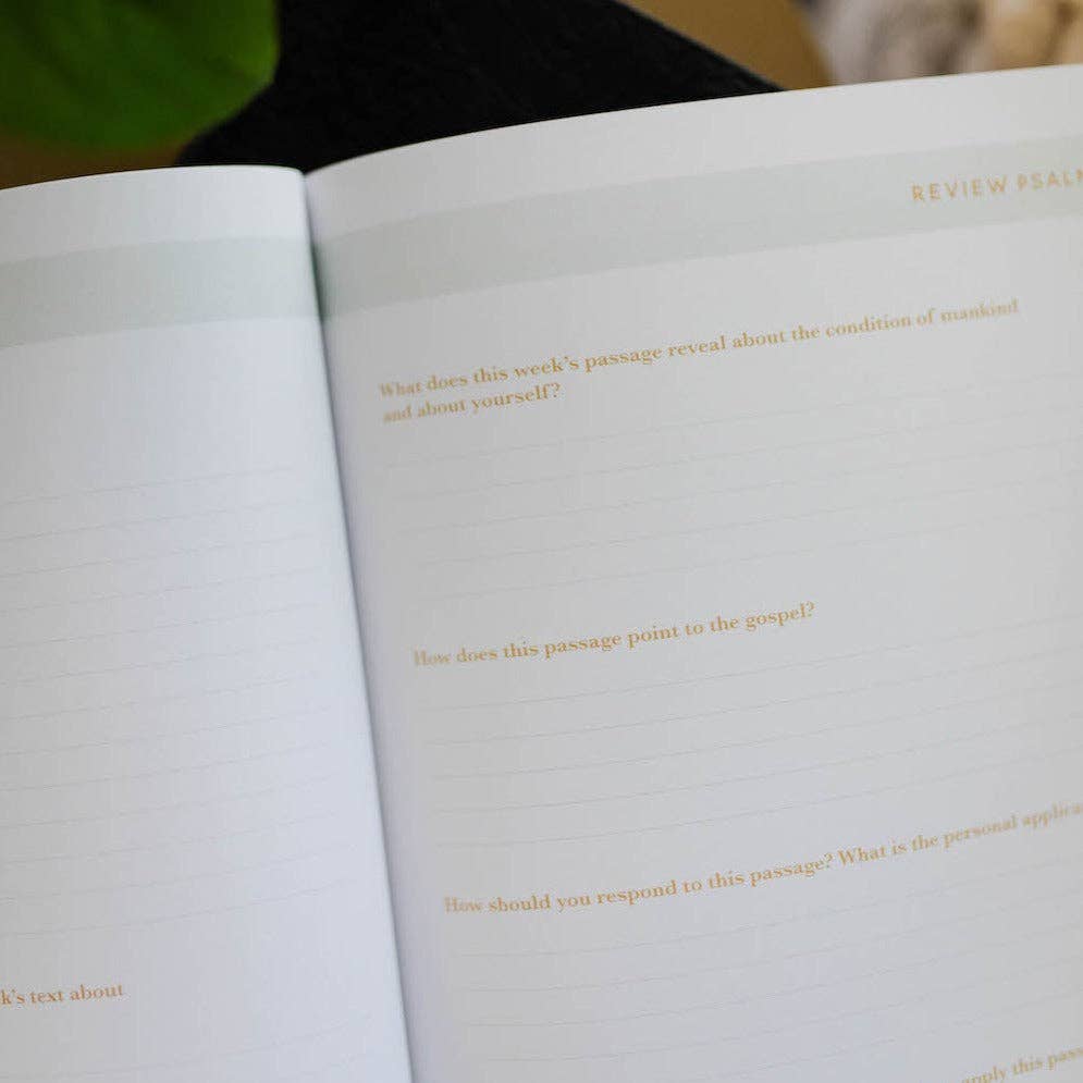 He Leads Me | Psalm 23