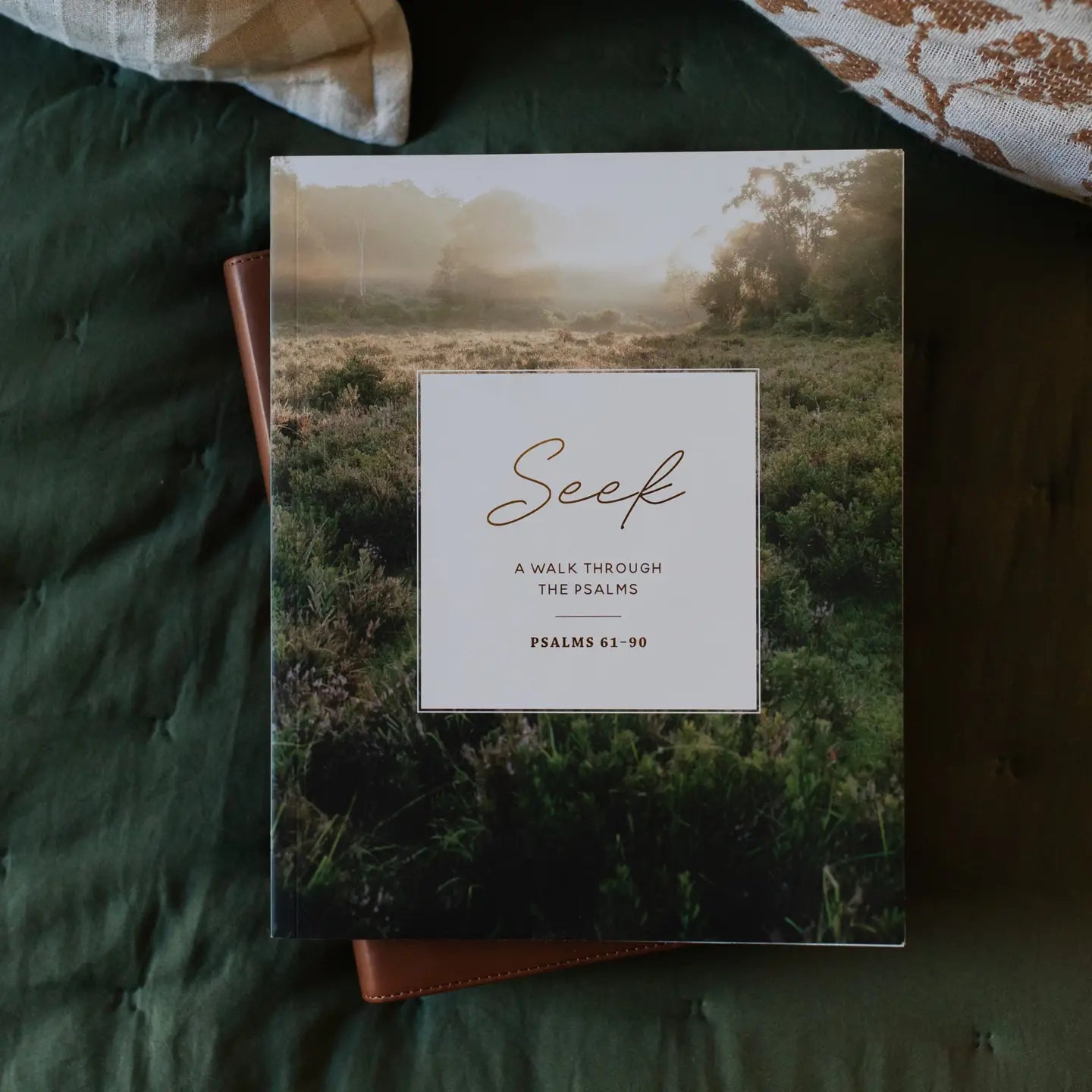 Seek | A Walk Through Psalms 61-90.