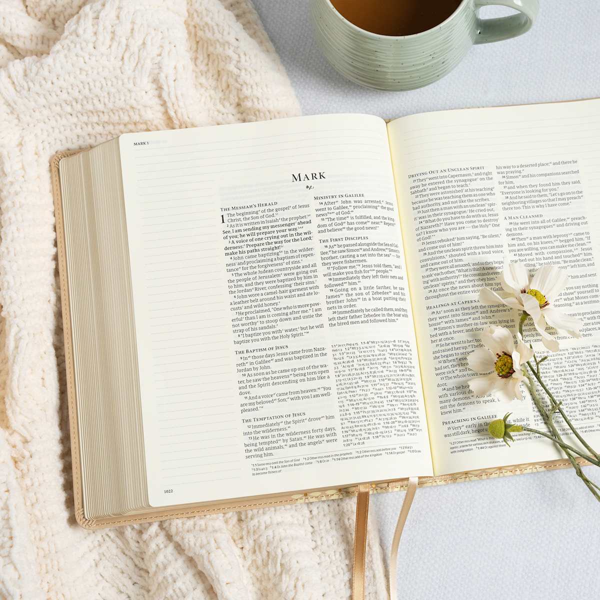 CSB Bible | Cream Blooms