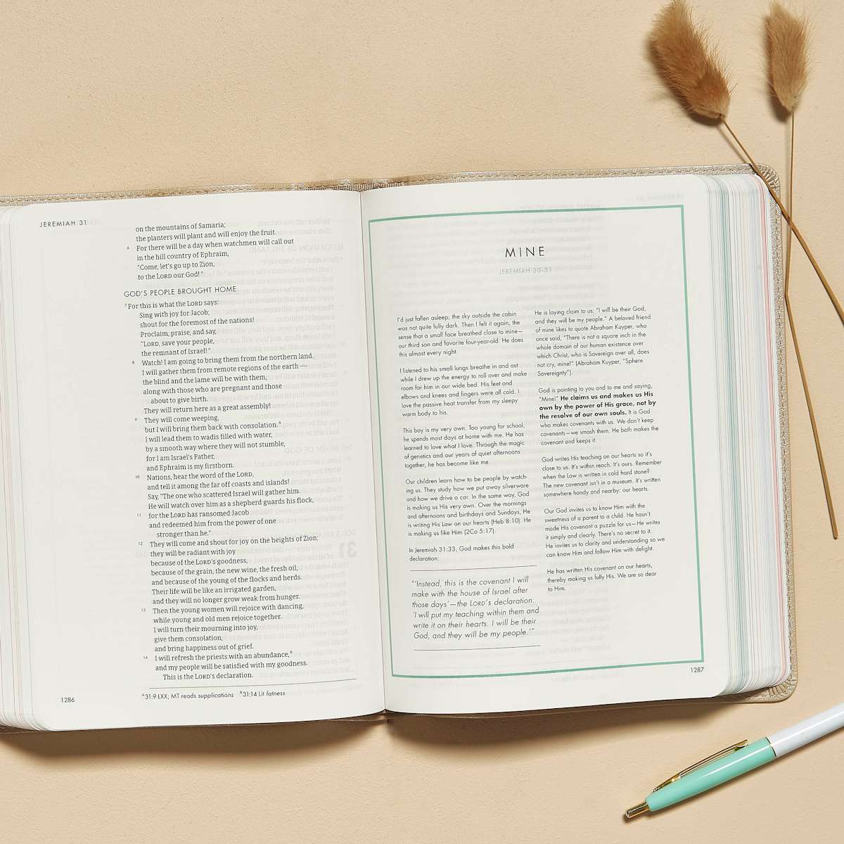 CSB Bible | Champagne Gold
