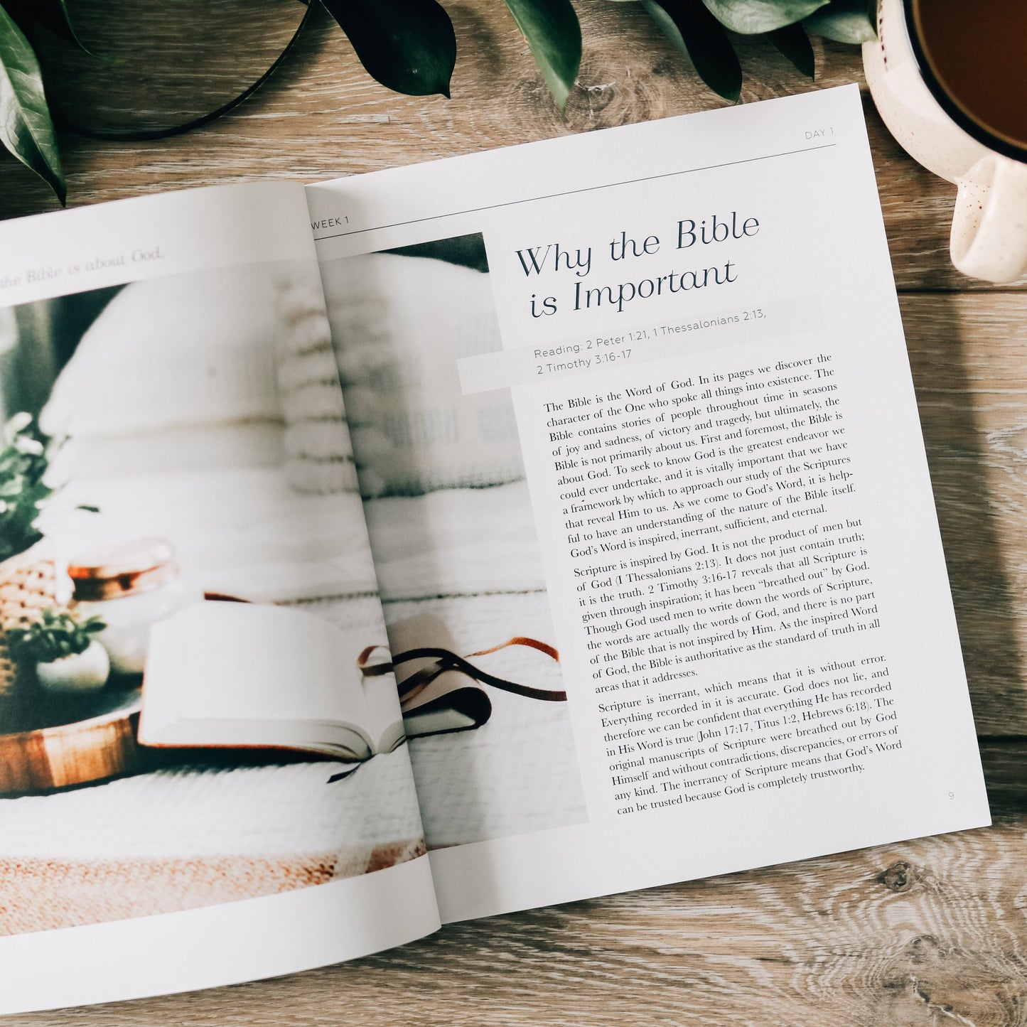 Search the Word Workbook