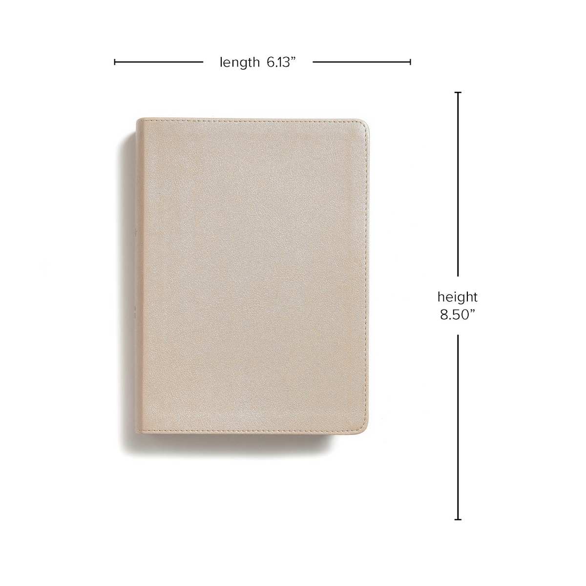 CSB Bible | Champagne Gold