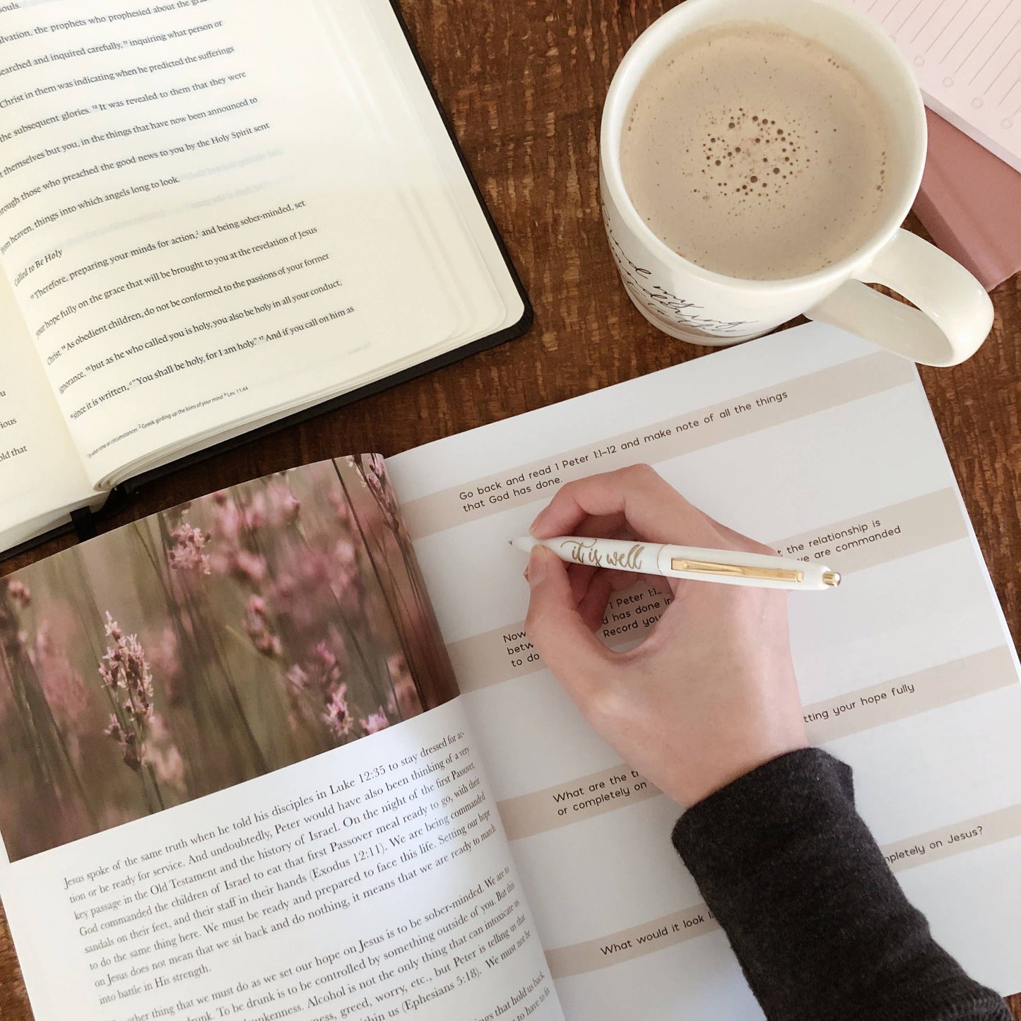 Grace in the Wilderness Study