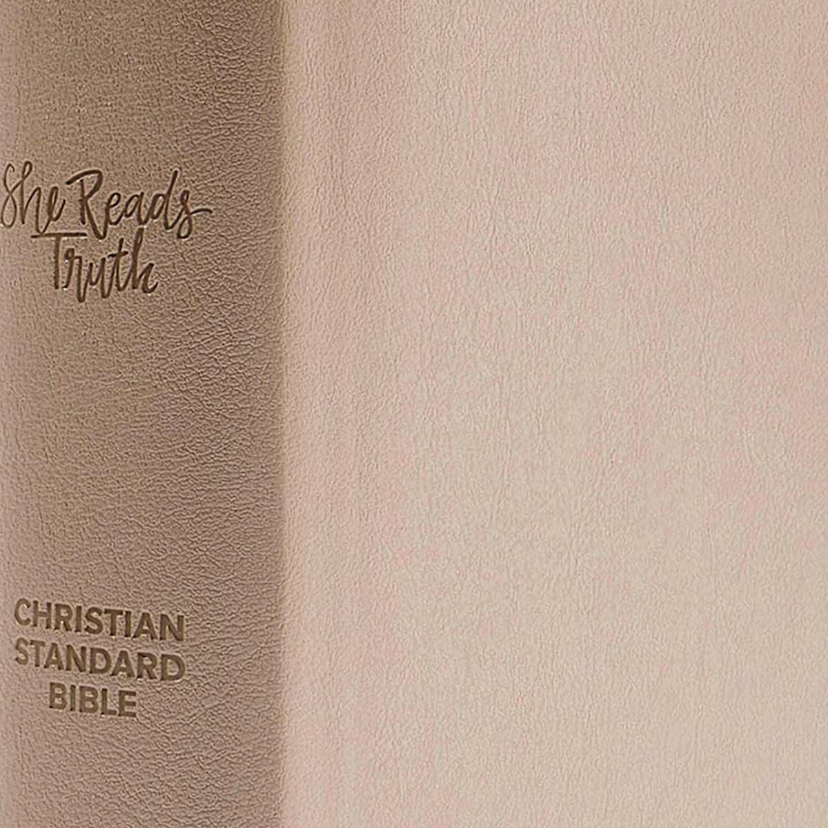 CSB Bible | Champagne Gold