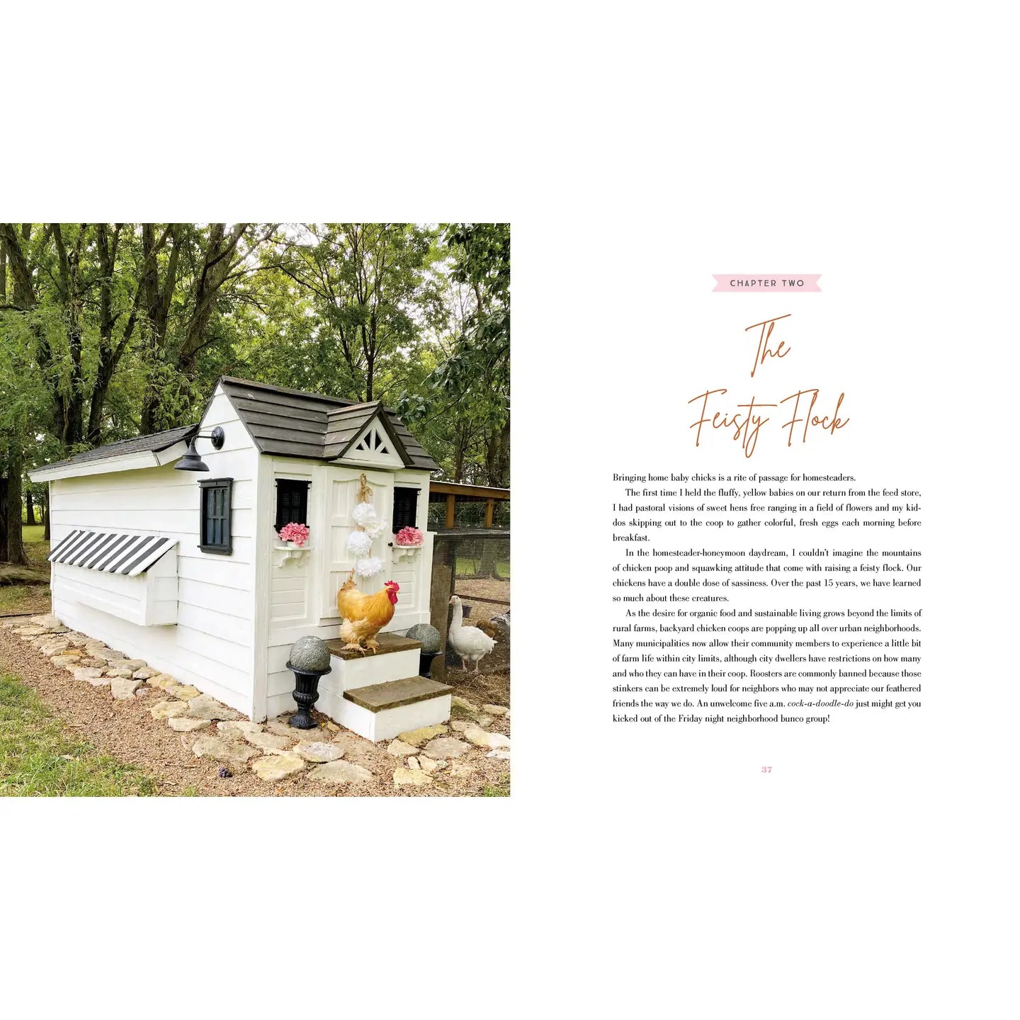 The Grace-Filled Homestead