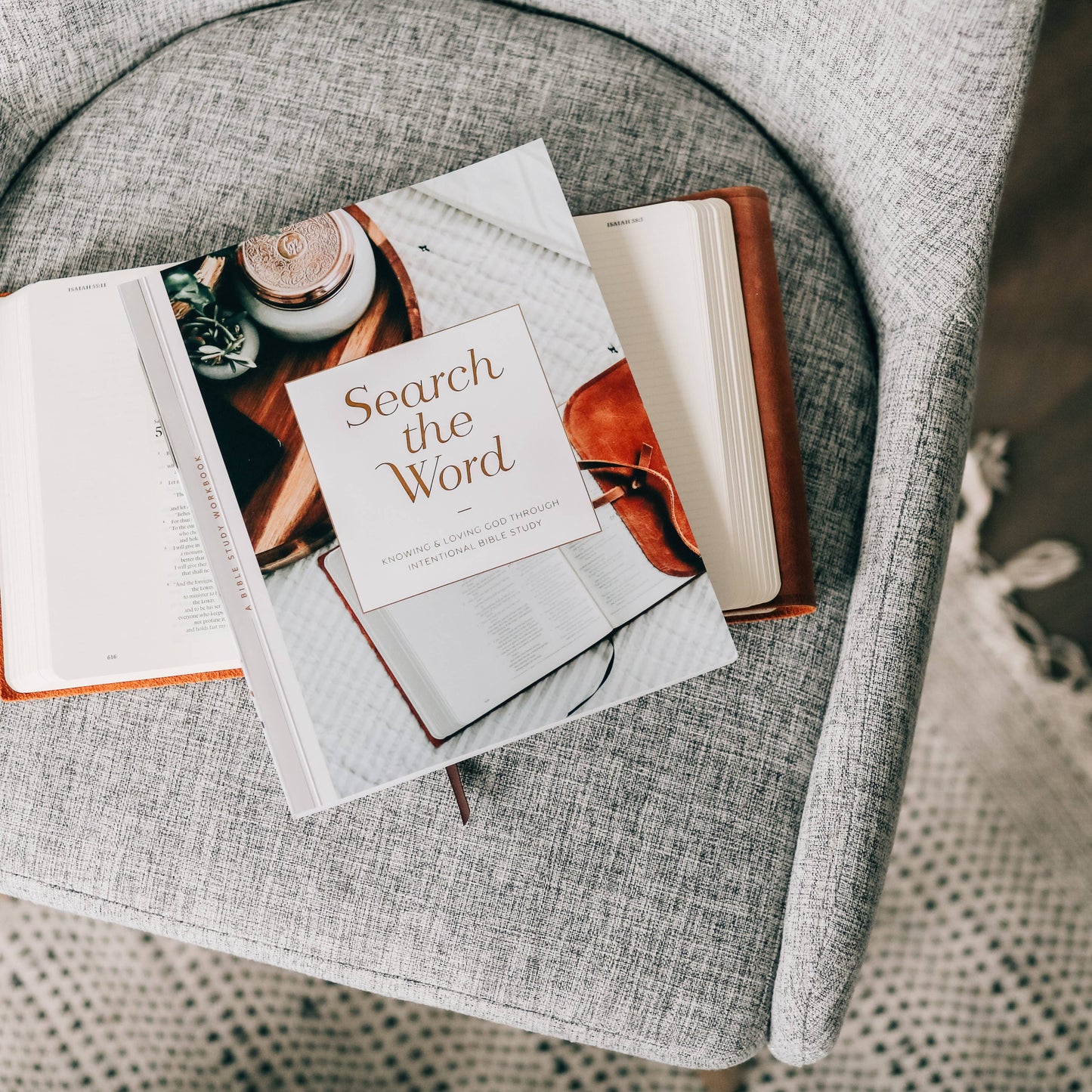 Search the Word Workbook