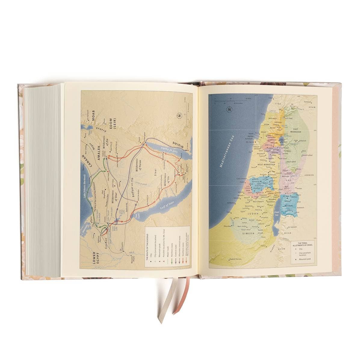 CSB Large Print Bible | Blush Garden