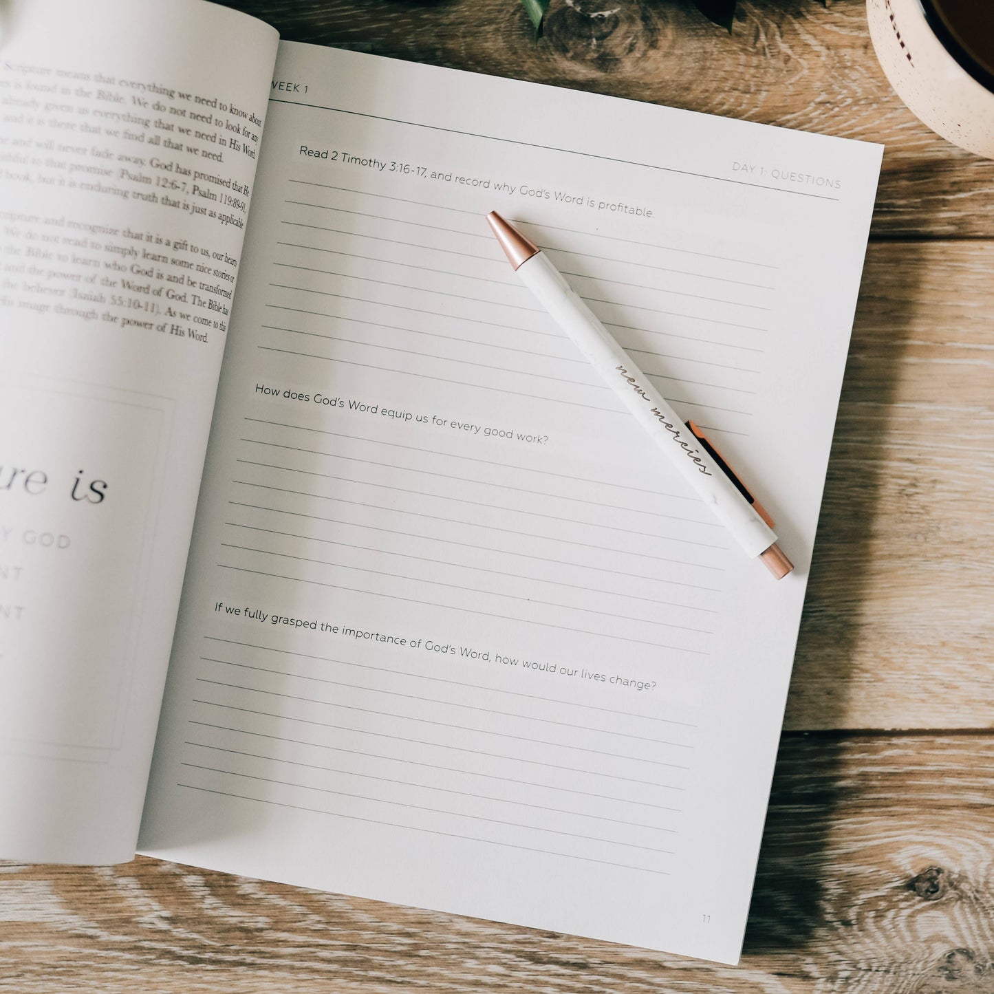 Search the Word Workbook