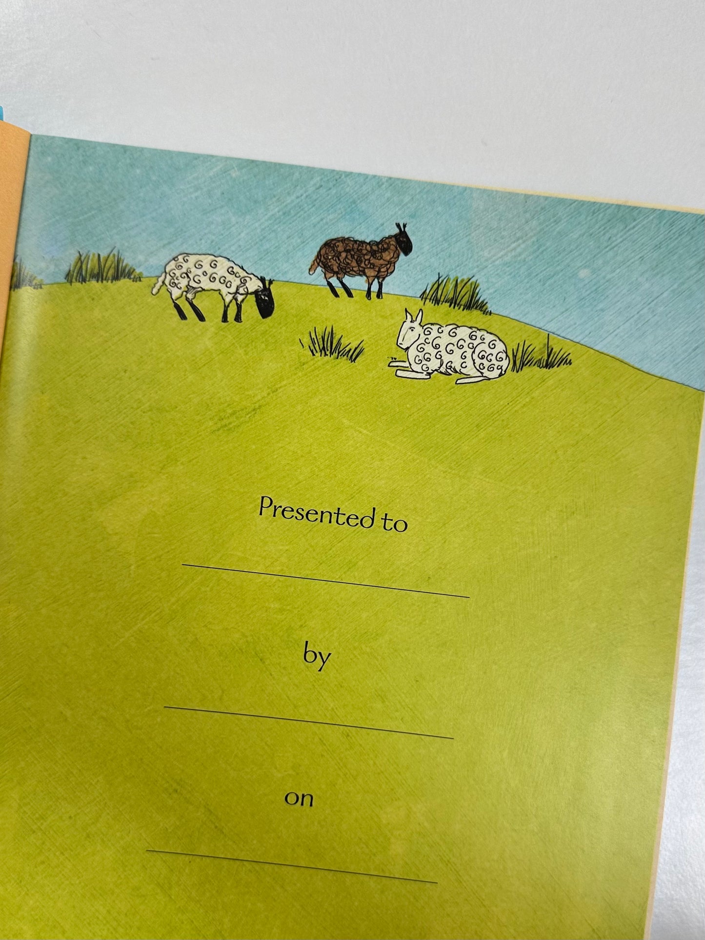 the Jesus Storybook Bible
