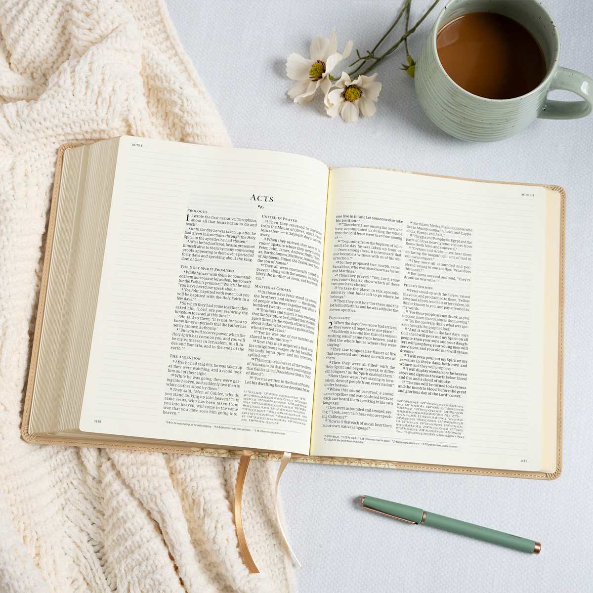 CSB Bible | Cream Blooms