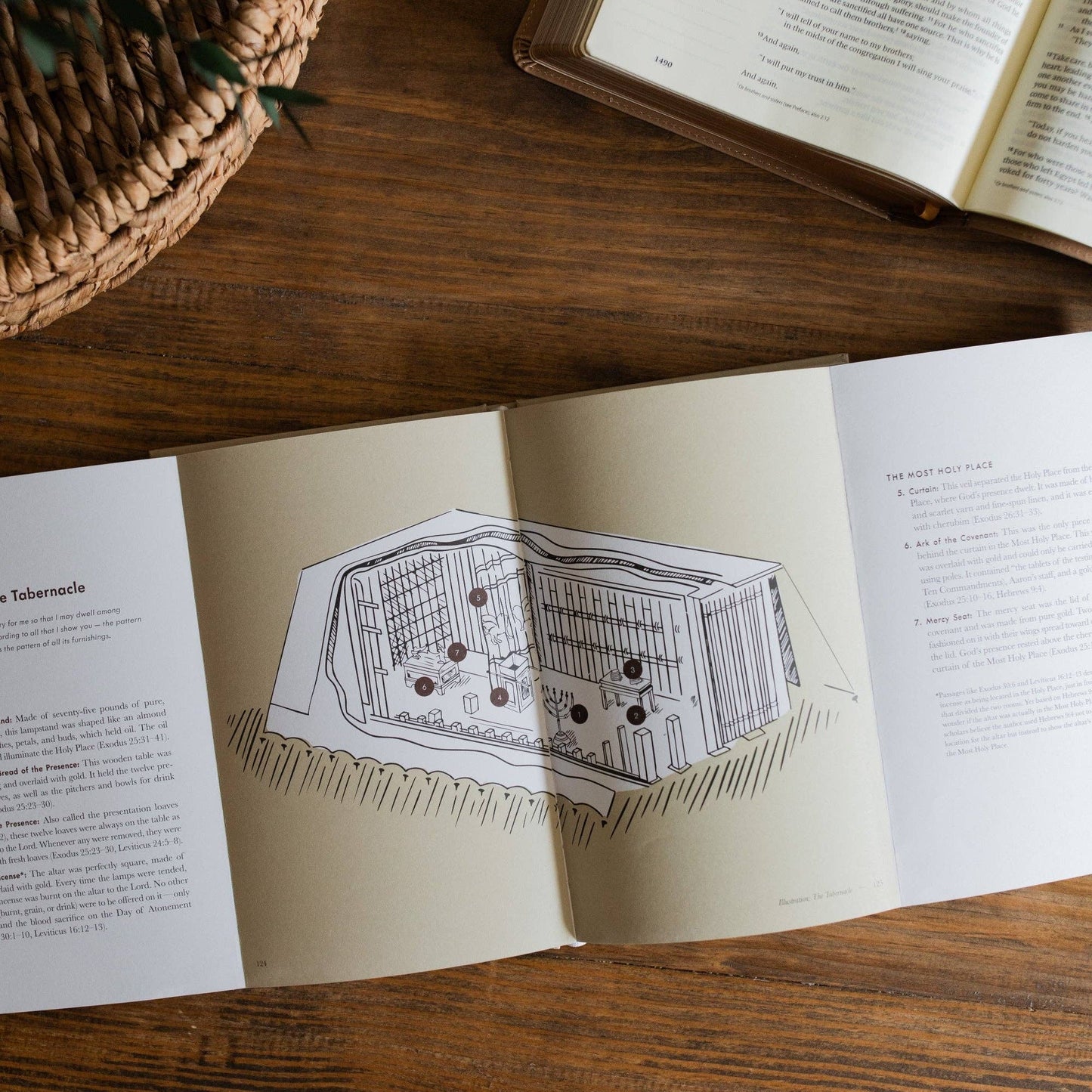 Jesus is Better: A Study on the Book of Hebrews for Men