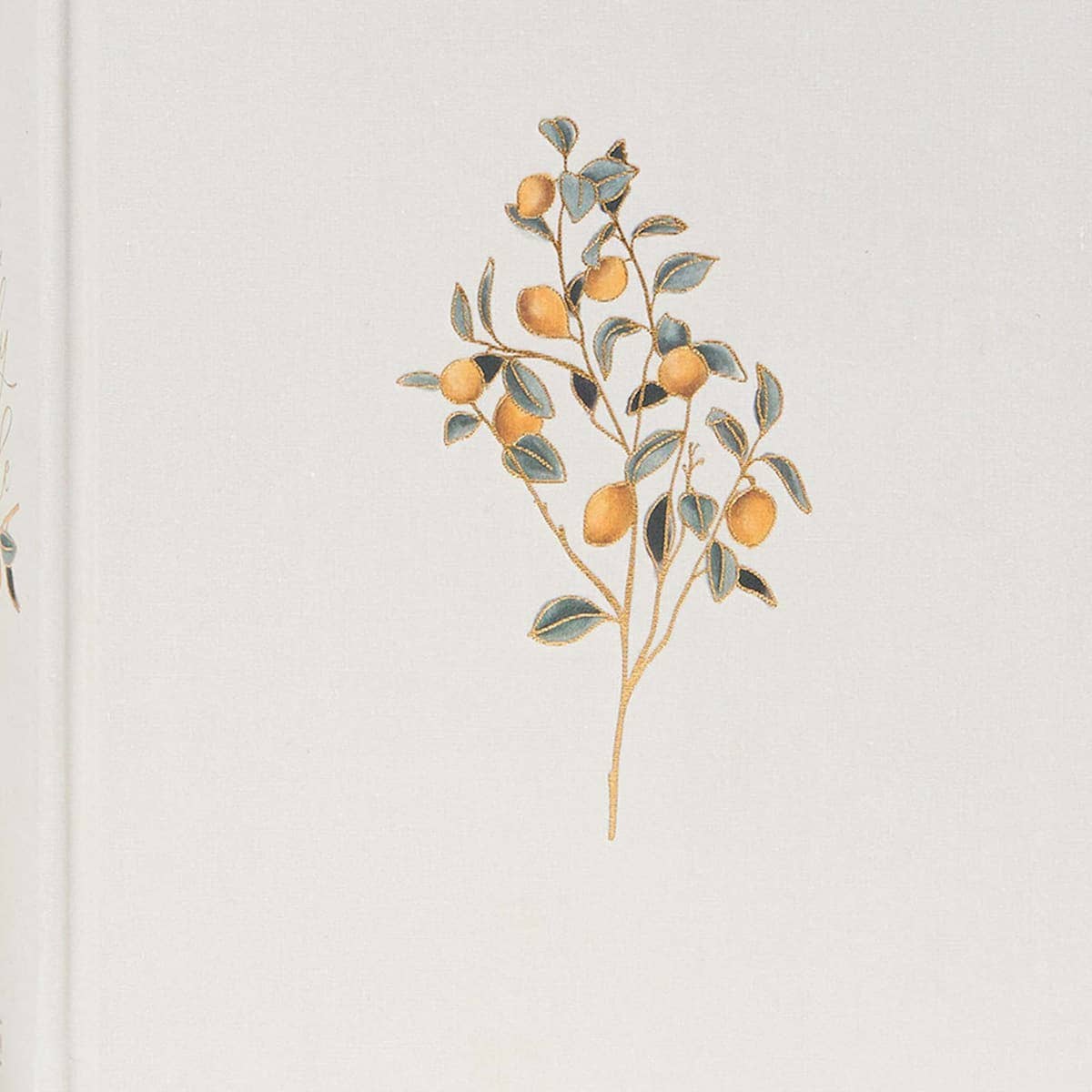 CSB Notetaking Bible | Hosanna’s Orchard