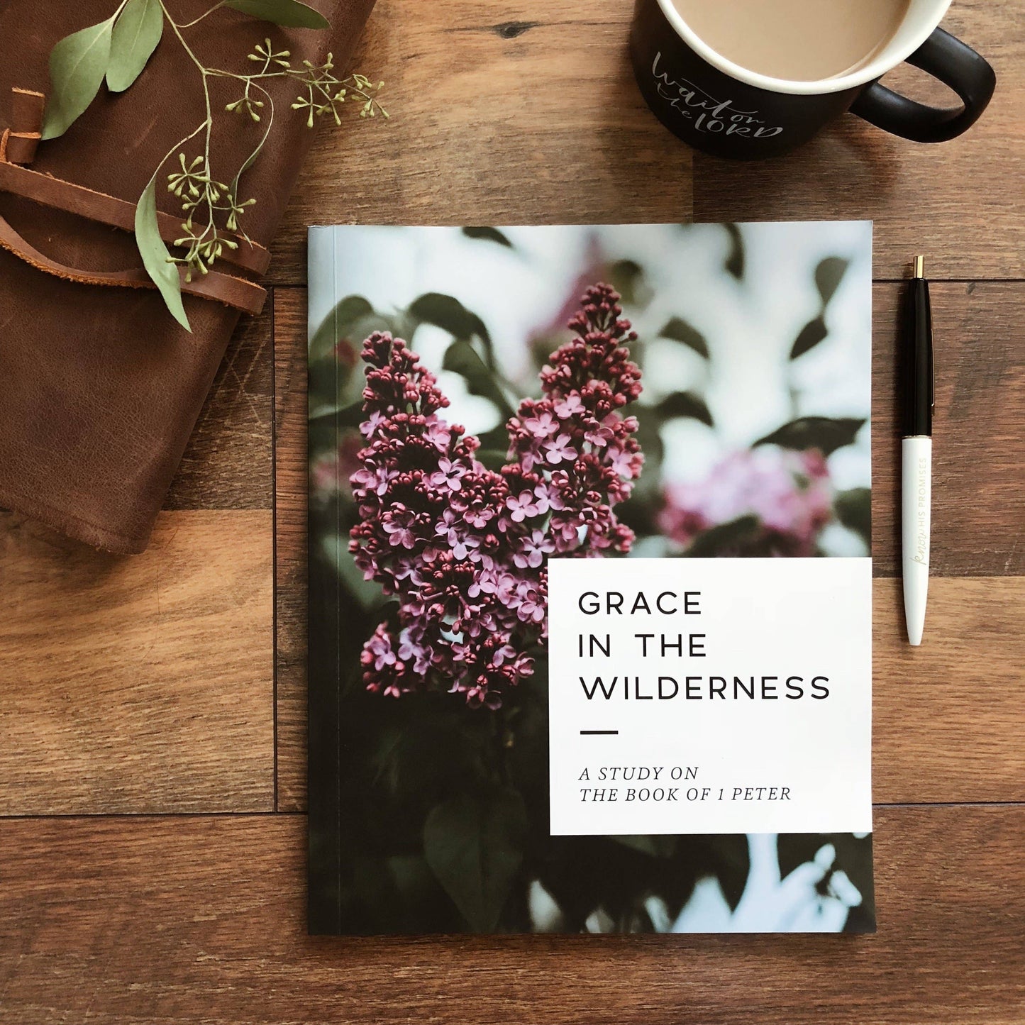 Grace in the Wilderness Study