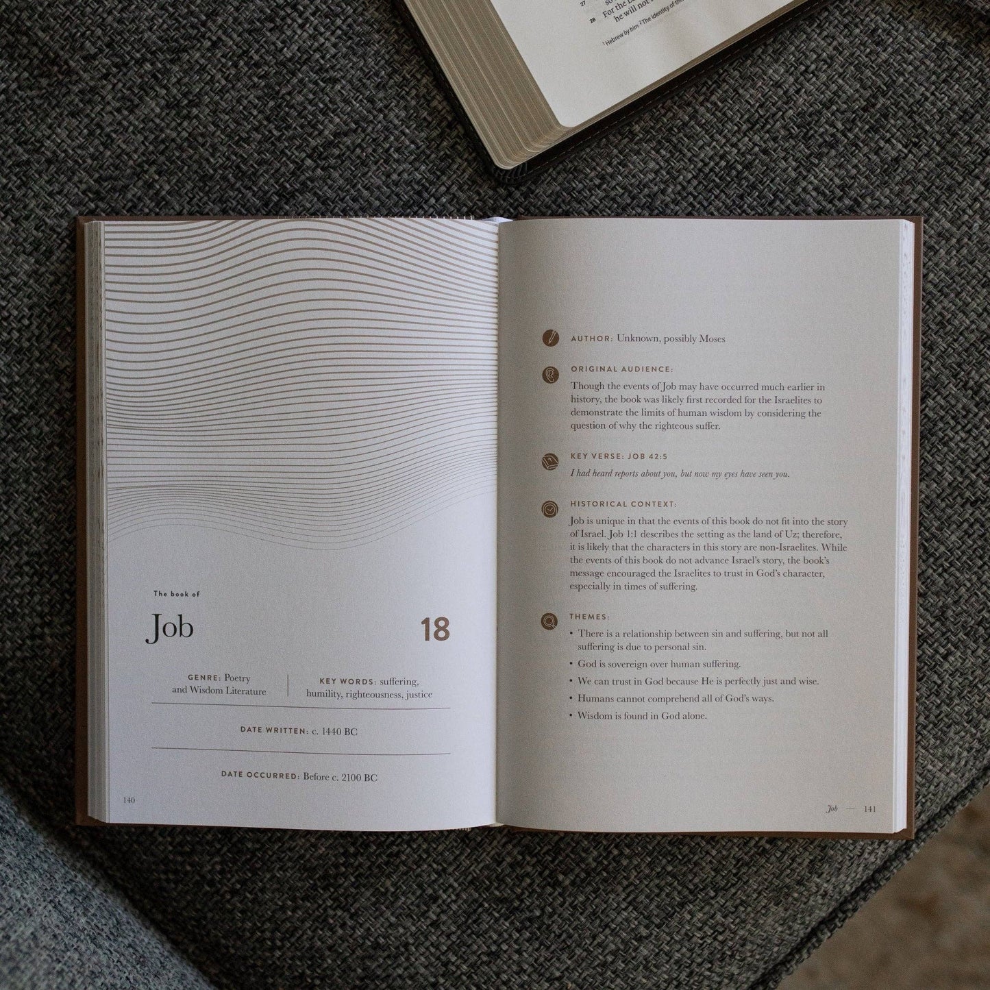 A Year in the Bible Volume 2: 1Kings-Psalms | Men's Study