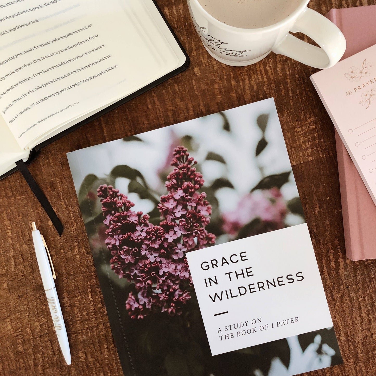 Grace in the Wilderness Study