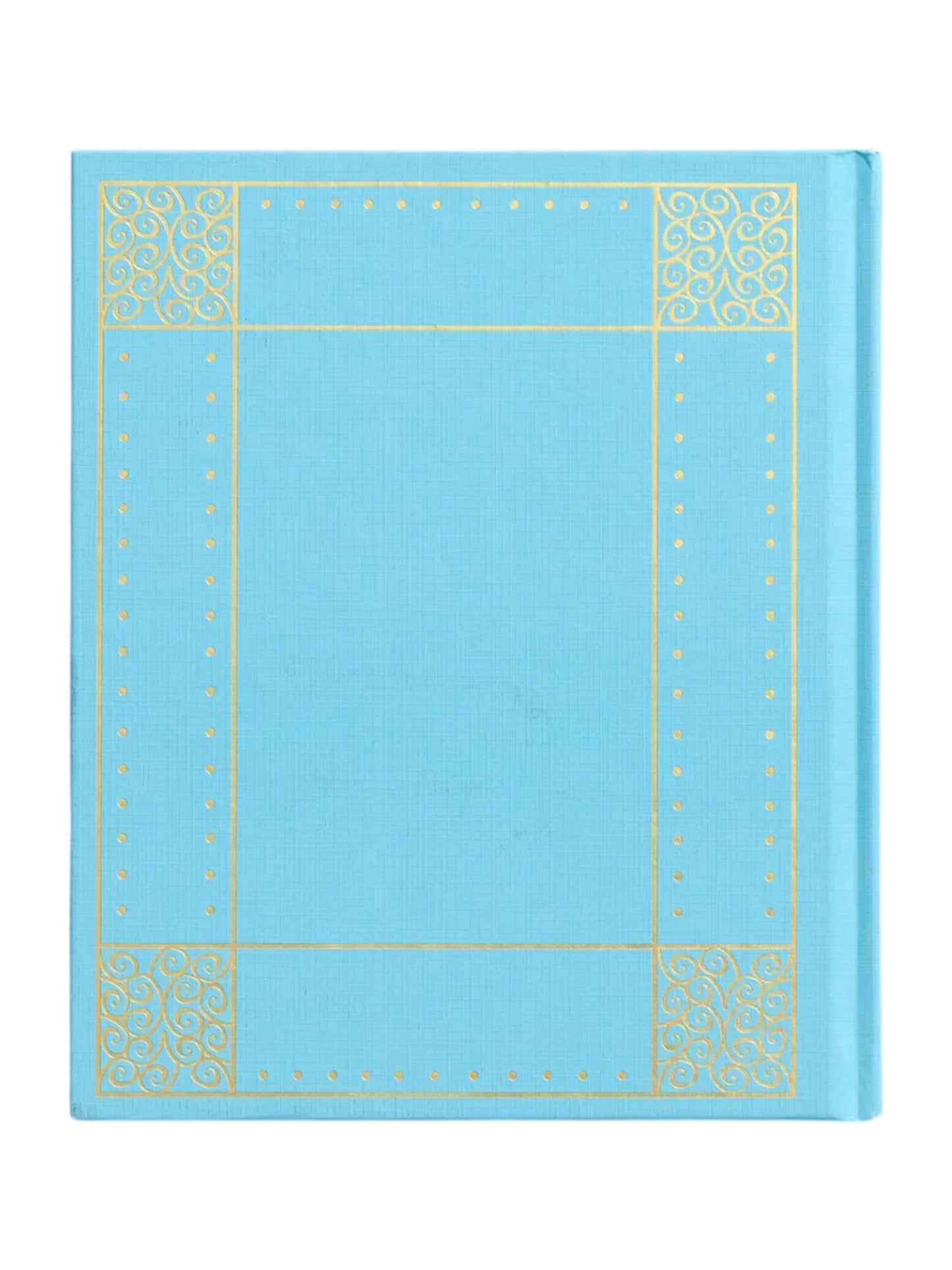 the Jesus Storybook Bible