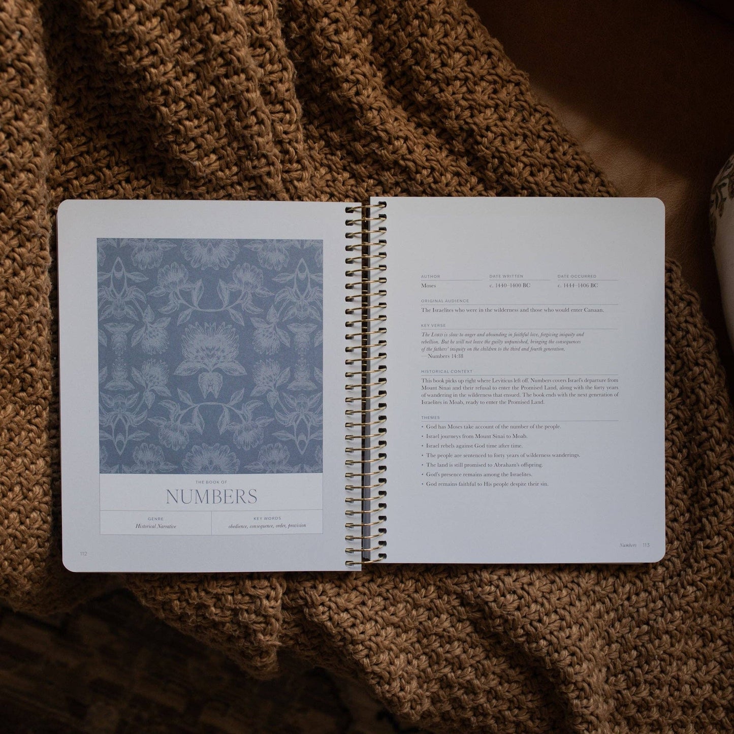 A Year in the Bible | Volume 1 | Genesis-2 Samuel