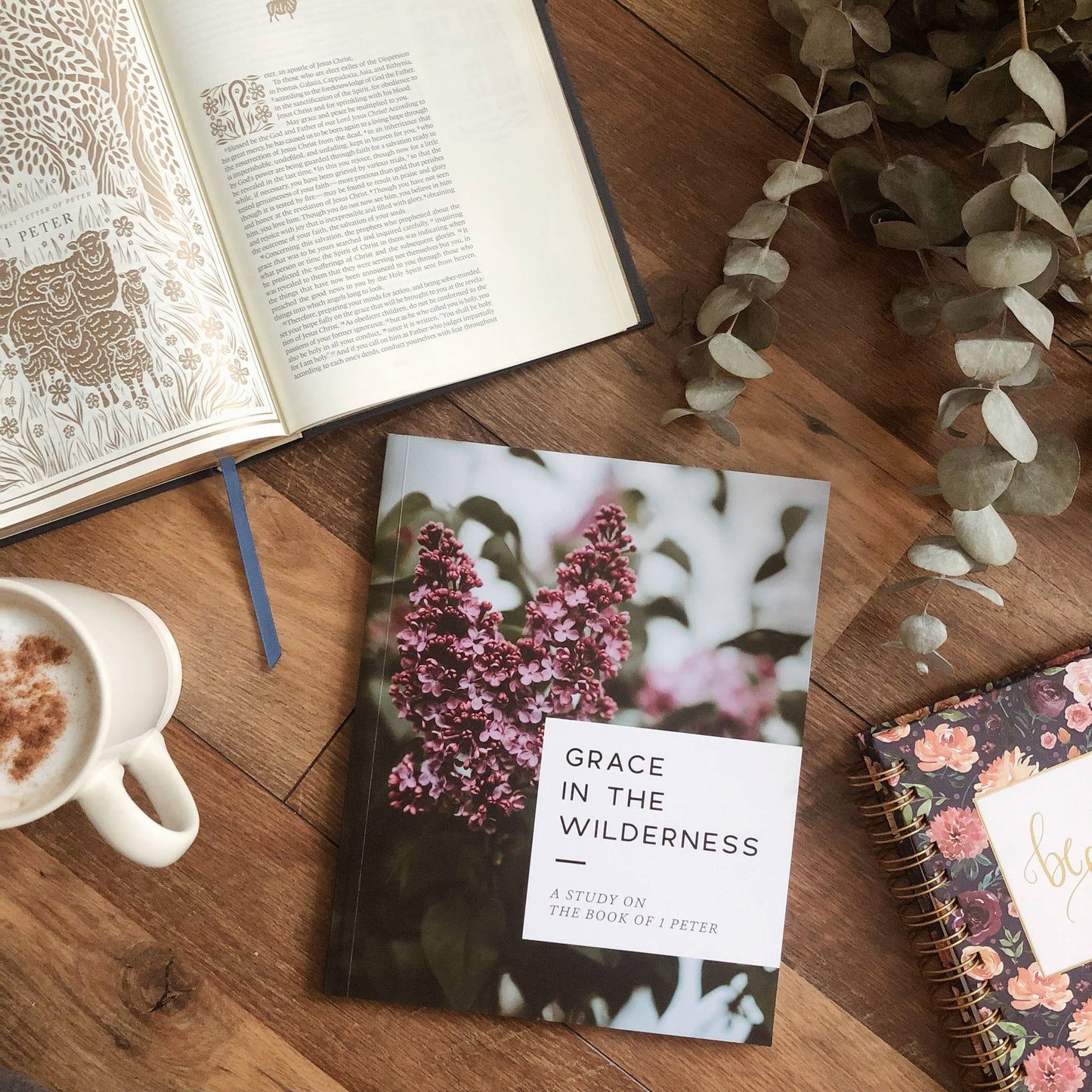 Grace in the Wilderness Study