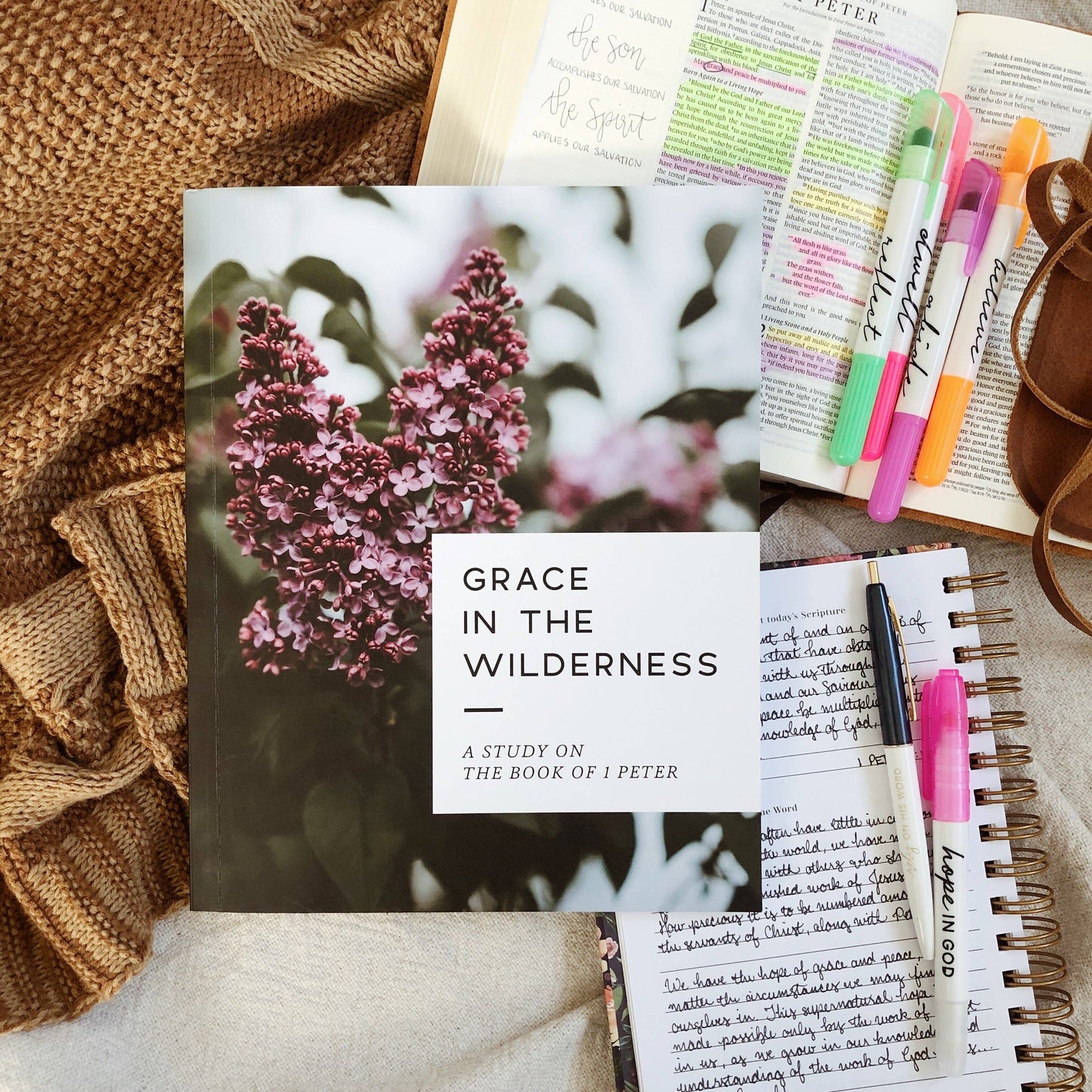 Grace in the Wilderness Study