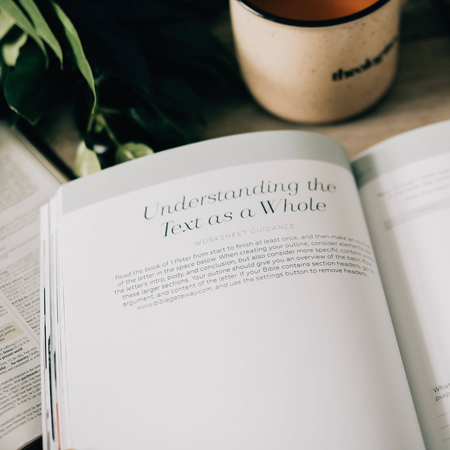 Search the Word Workbook