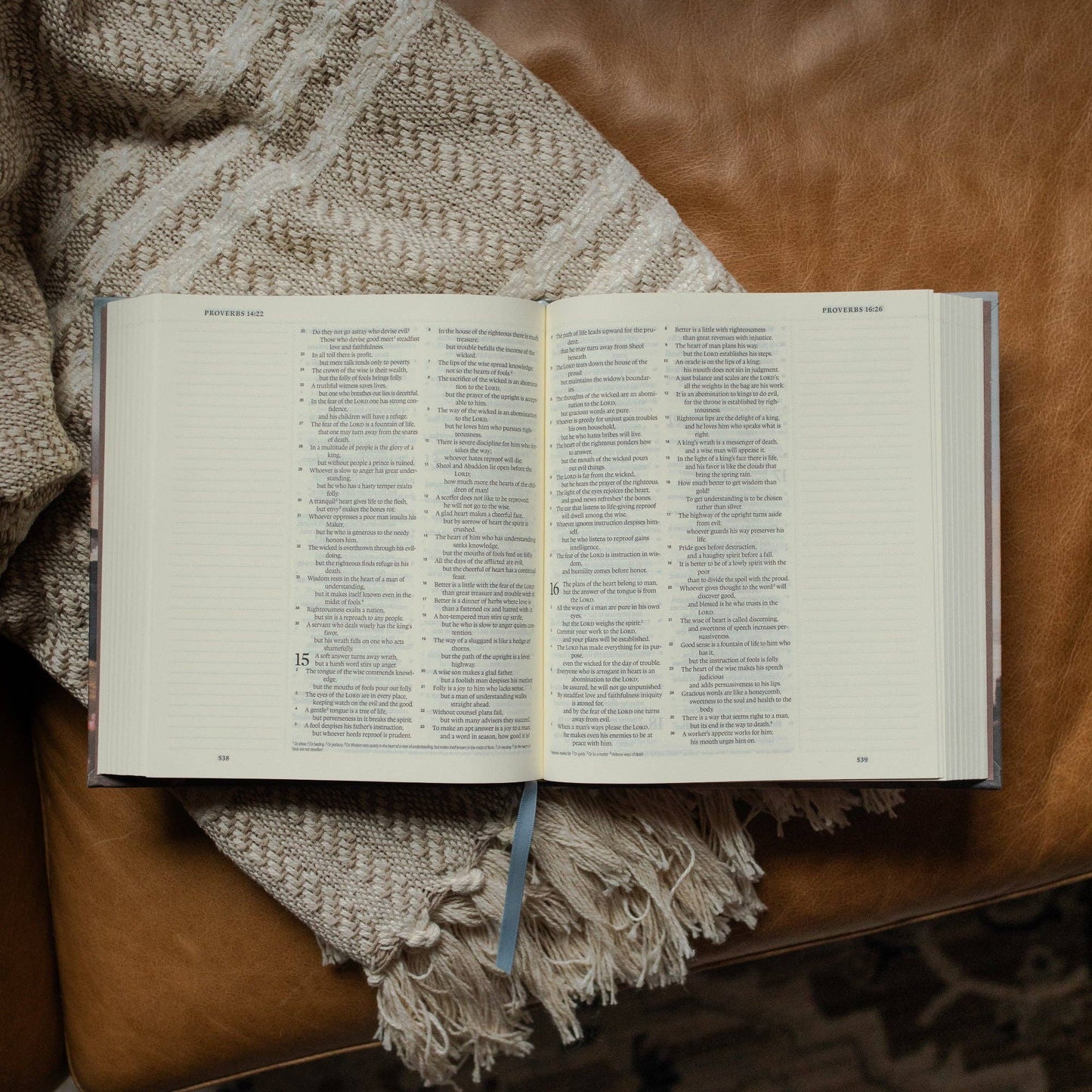 ESV Journaling Bible: Mountains
