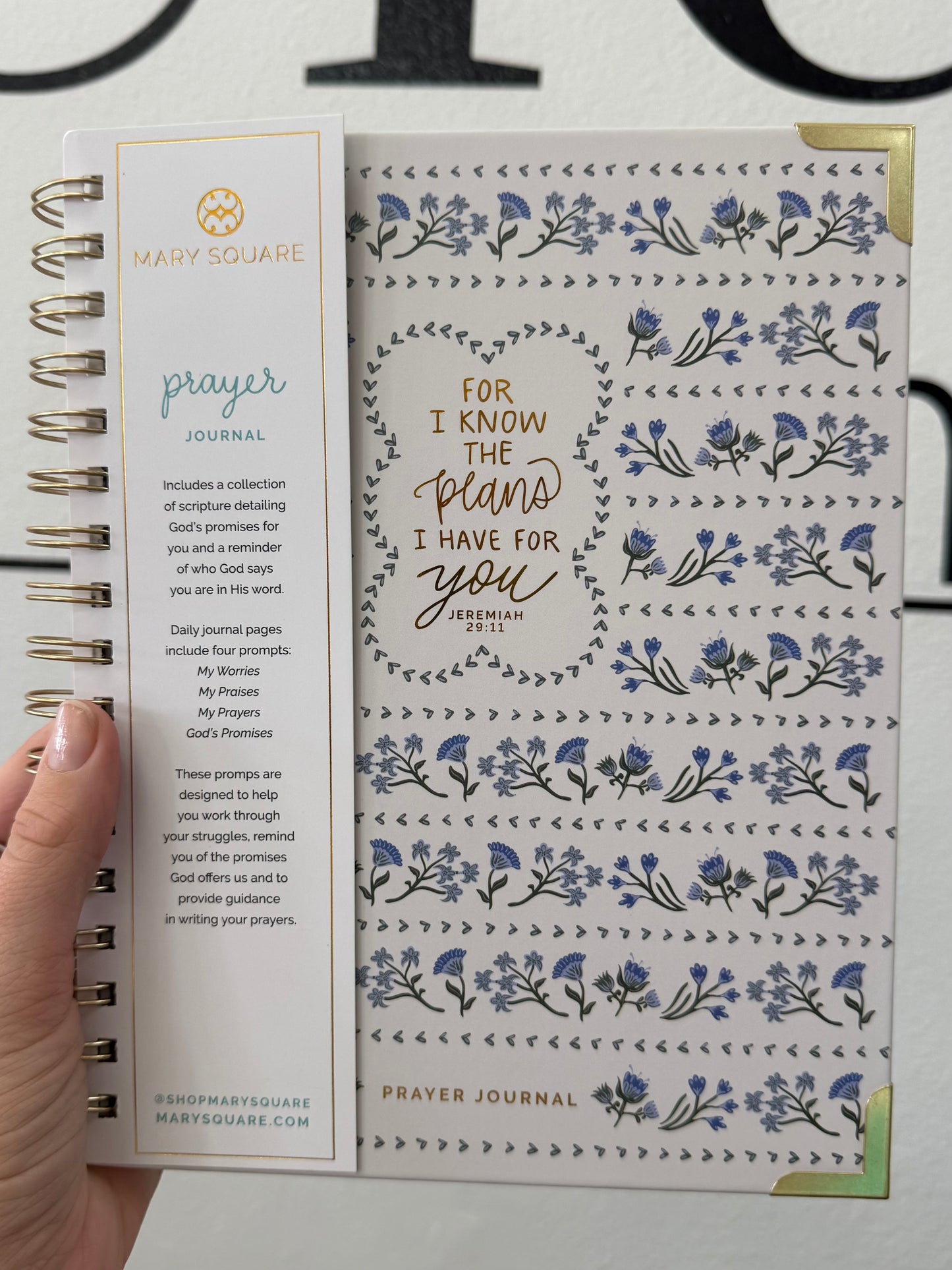 Journal Prayer - For I Know the Plans