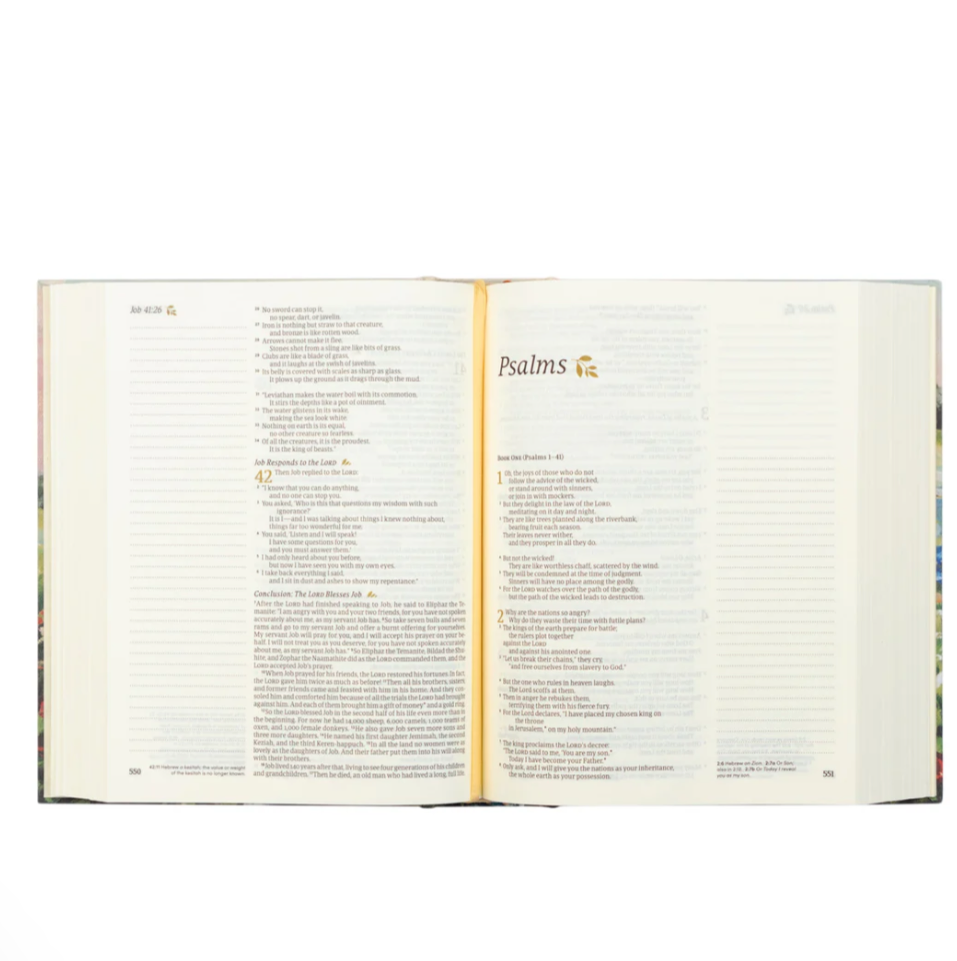 NLT Coram Bible