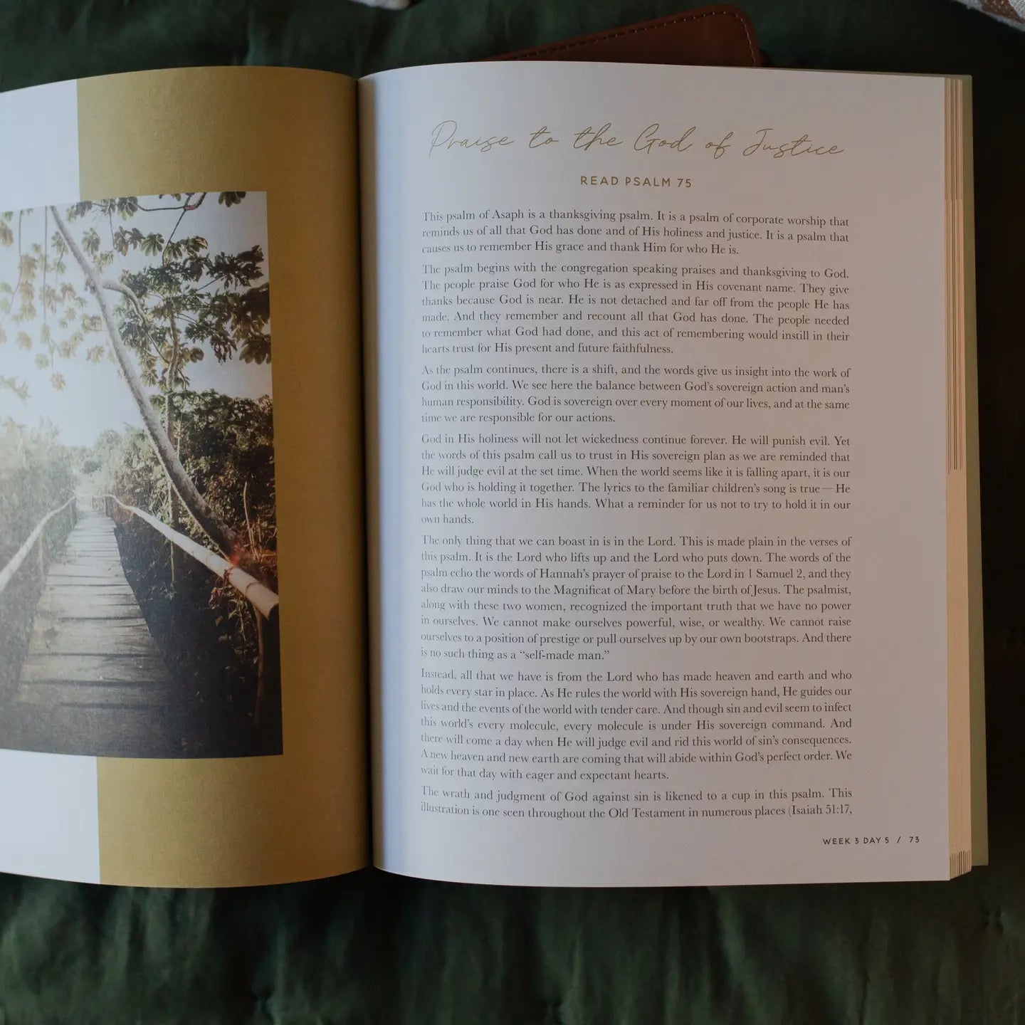 Seek | A Walk Through Psalms 61-90.
