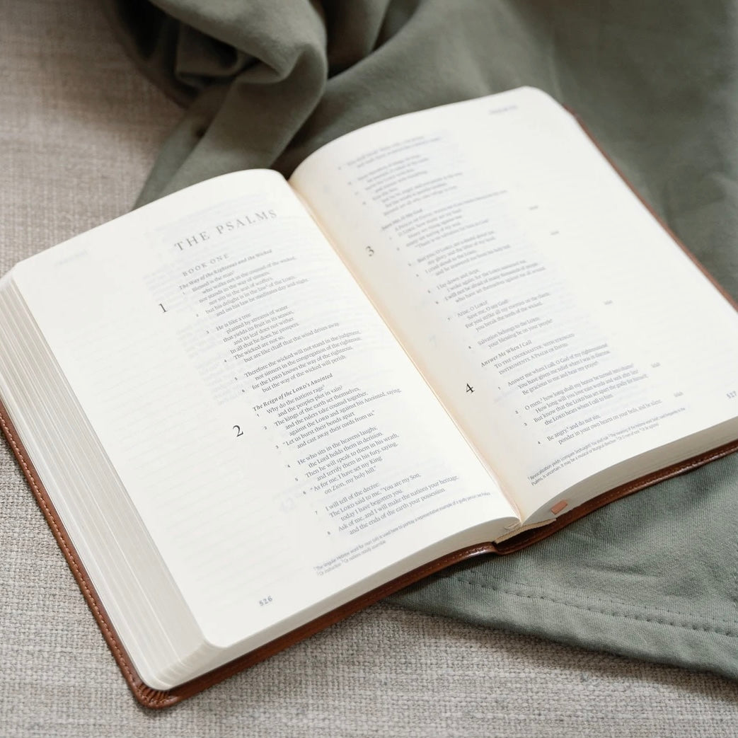 ESV Journaling Bible: Westminster Theme