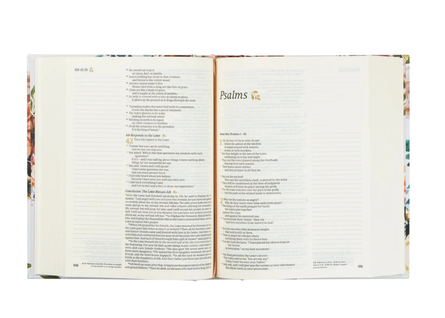 NLT Notetaking Bible : Madrid