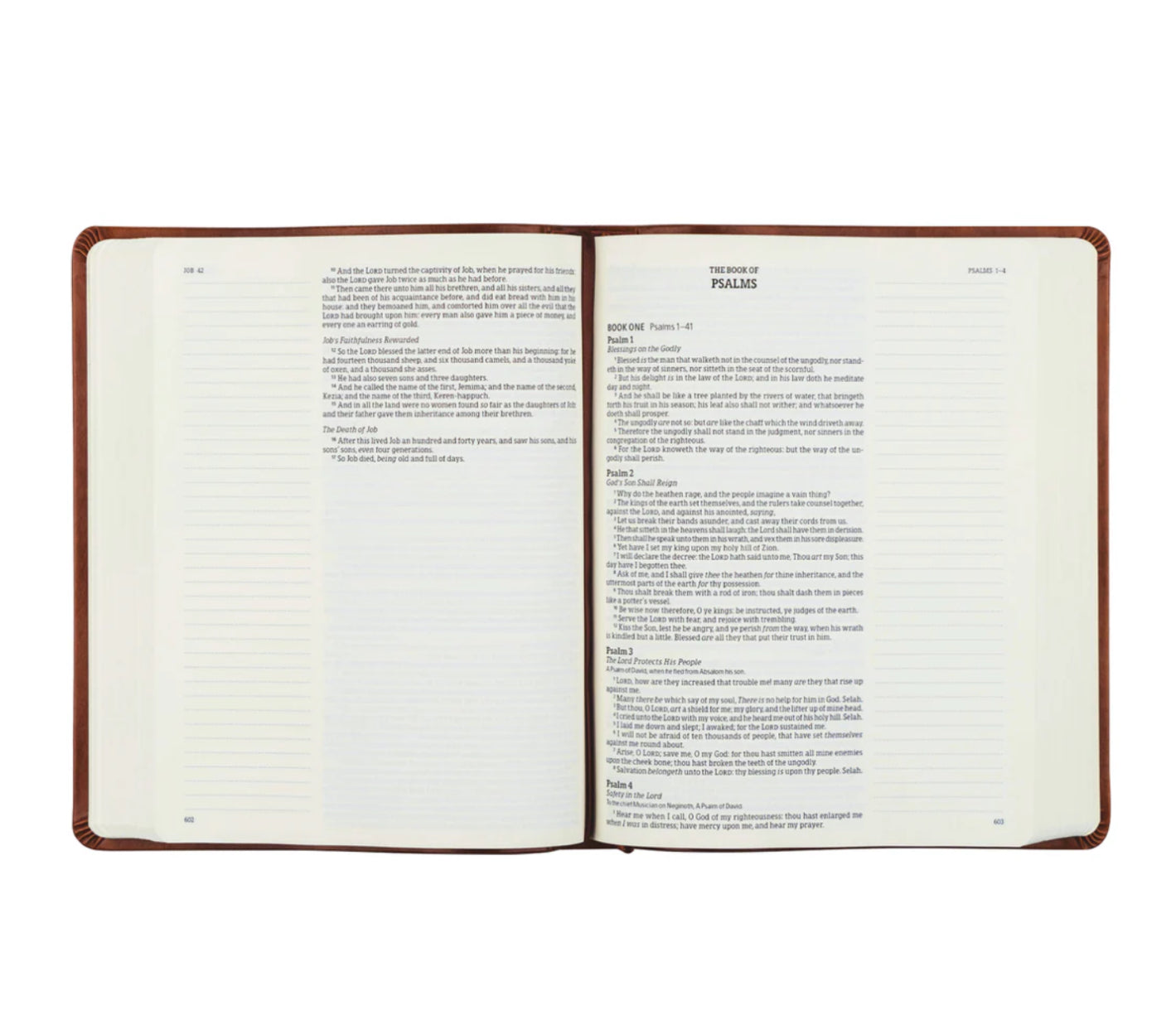 KJV Notetaking Bible: Vienna