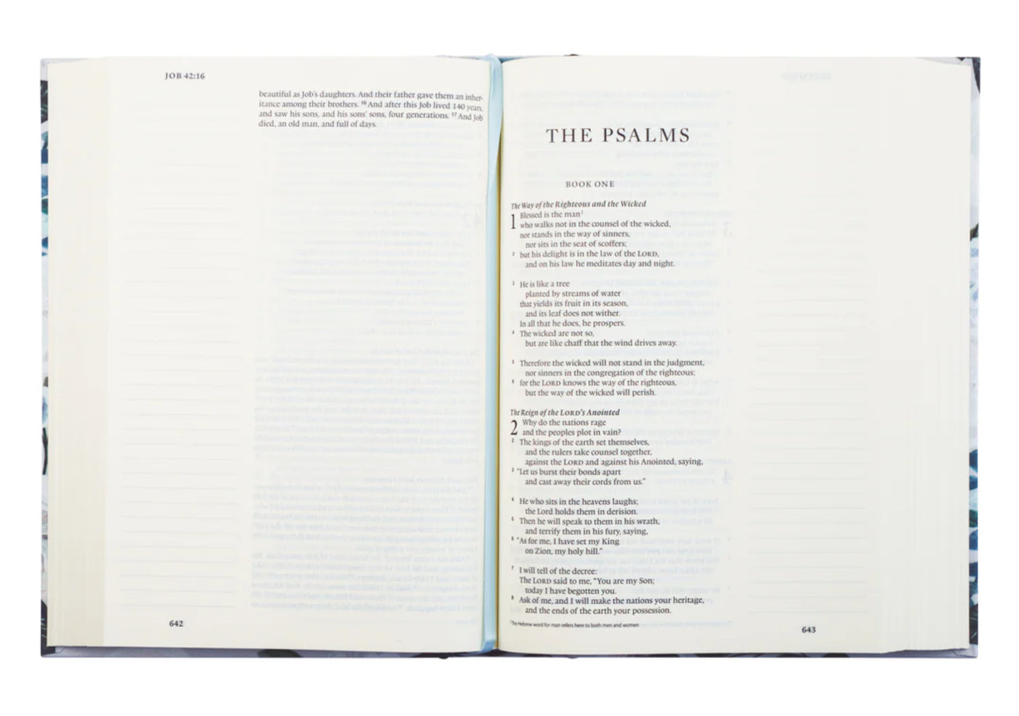 ESV Journaling Bible: Victoria