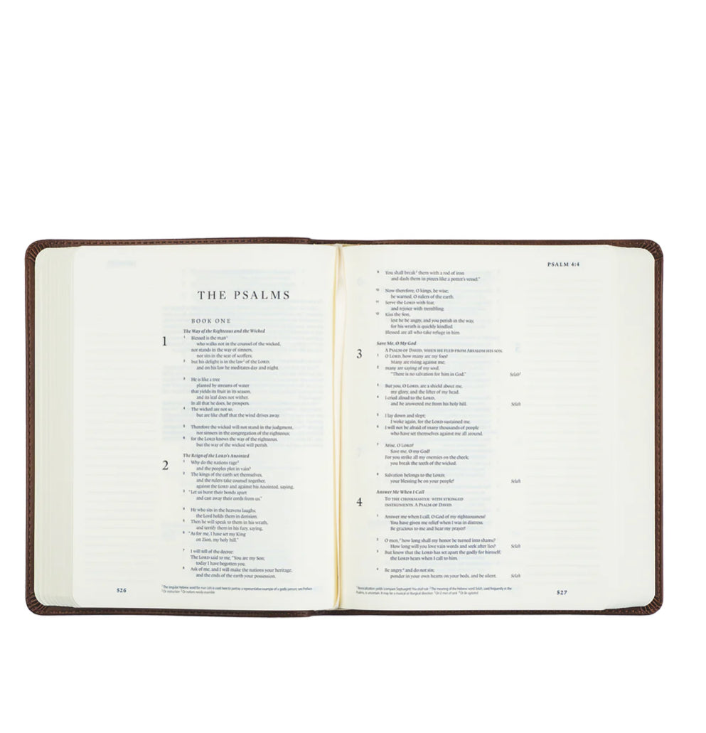 ESV Journaling Bible: Westminster Theme