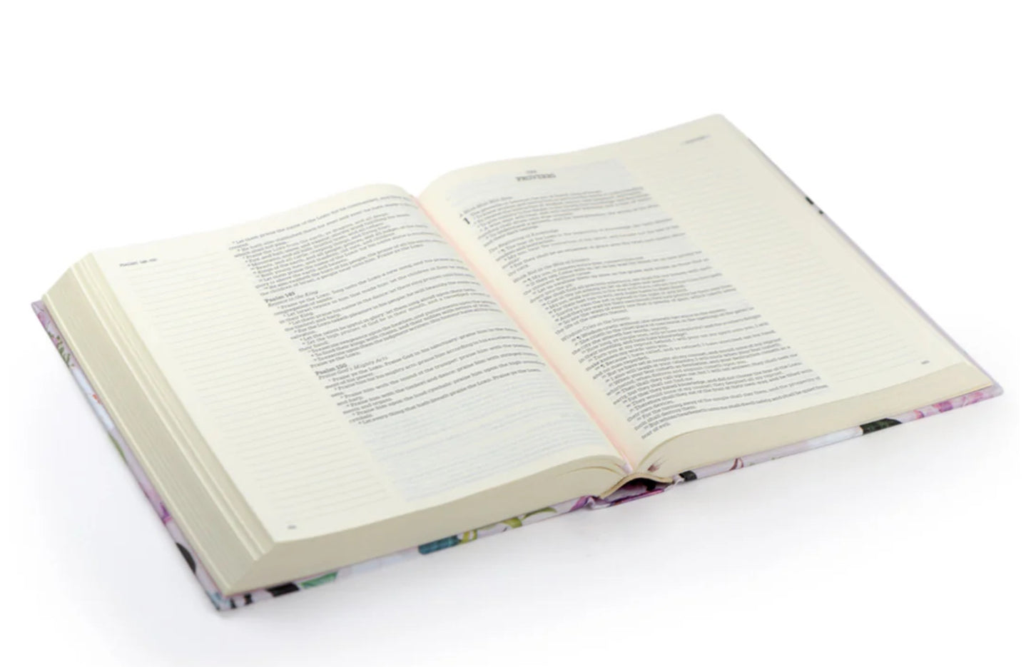 KJV Notetaking Bible: Charlotte