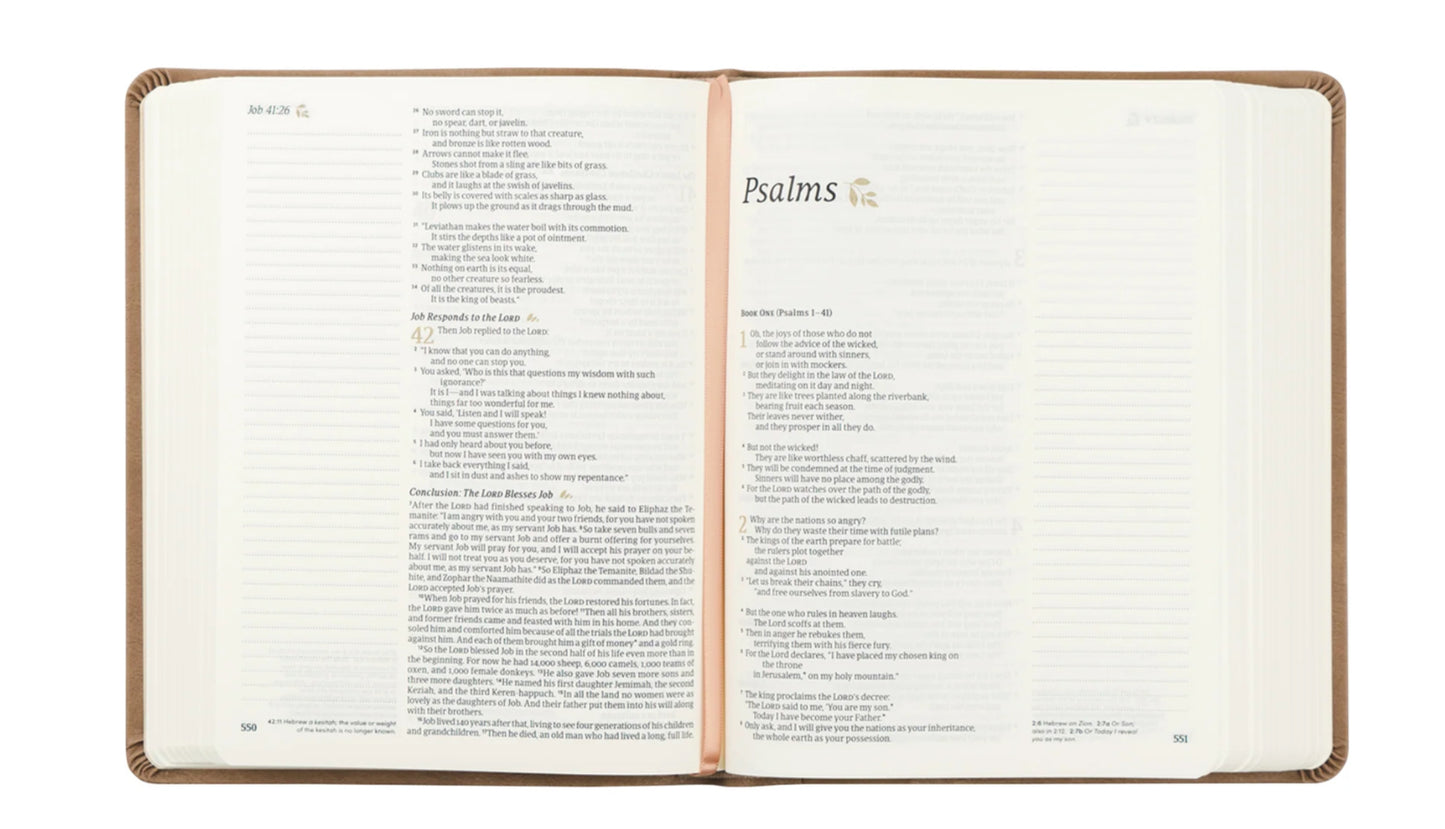 NLT Notetaking Bible : Galilee