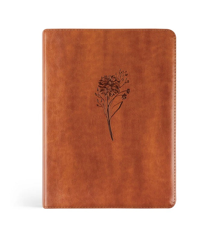 ESV Journaling Bible: Sierra Theme