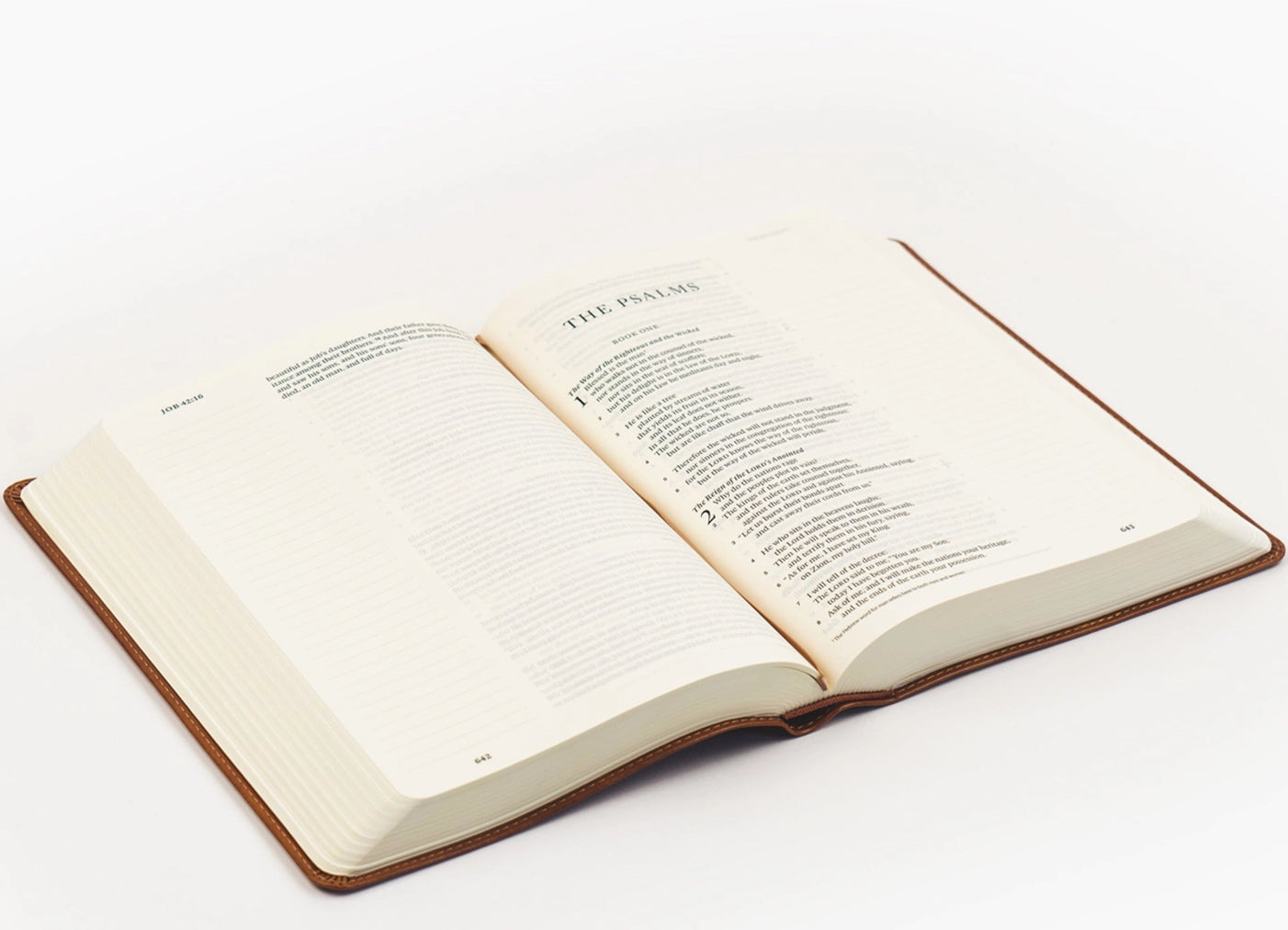 ESV Large Print Bible : Sierra Theme