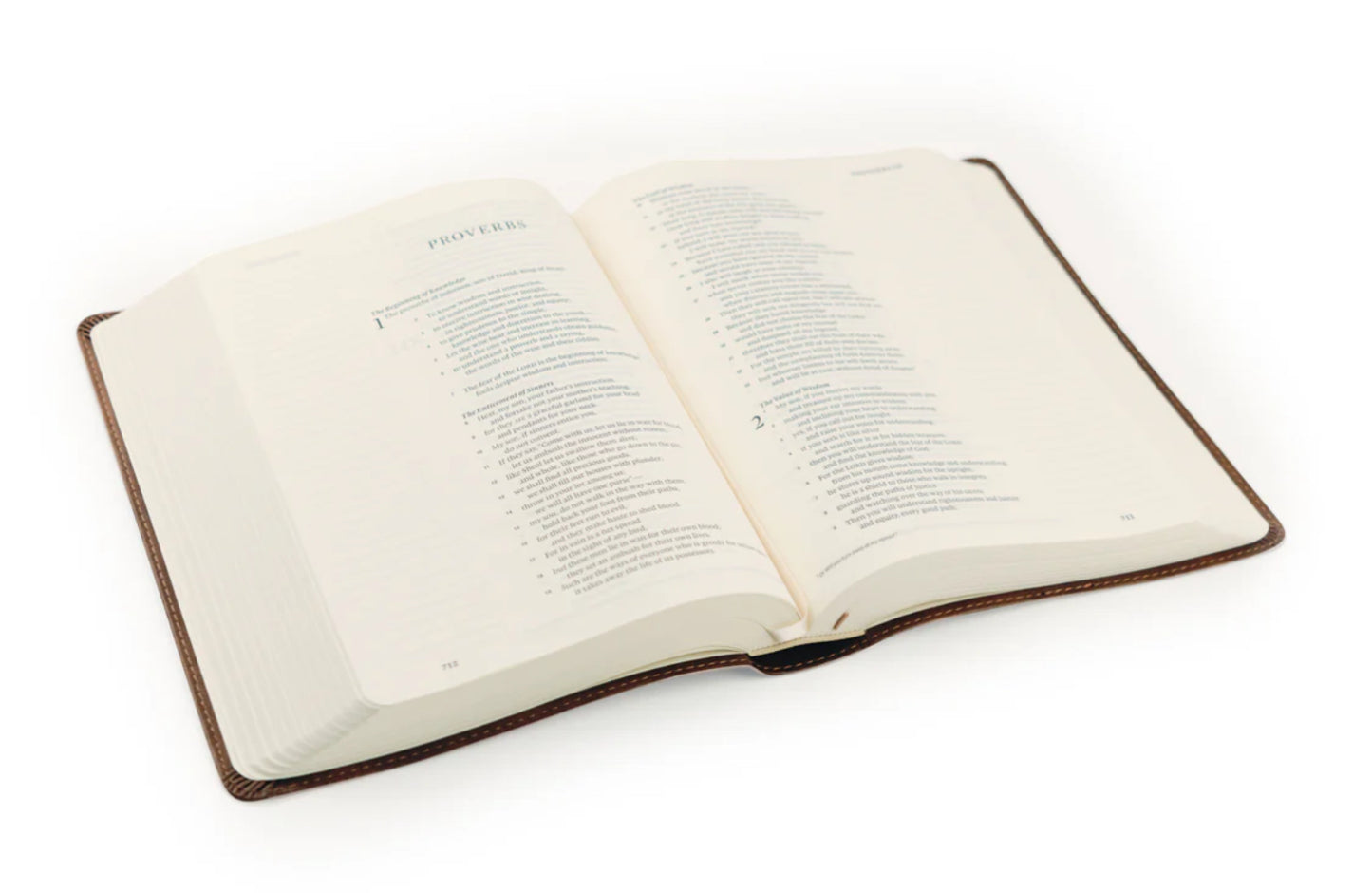 ESV Journaling Bible: Westminster