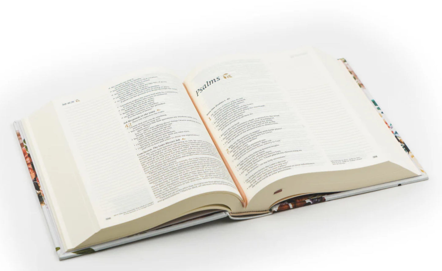 NLT Notetaking Bible : Madrid