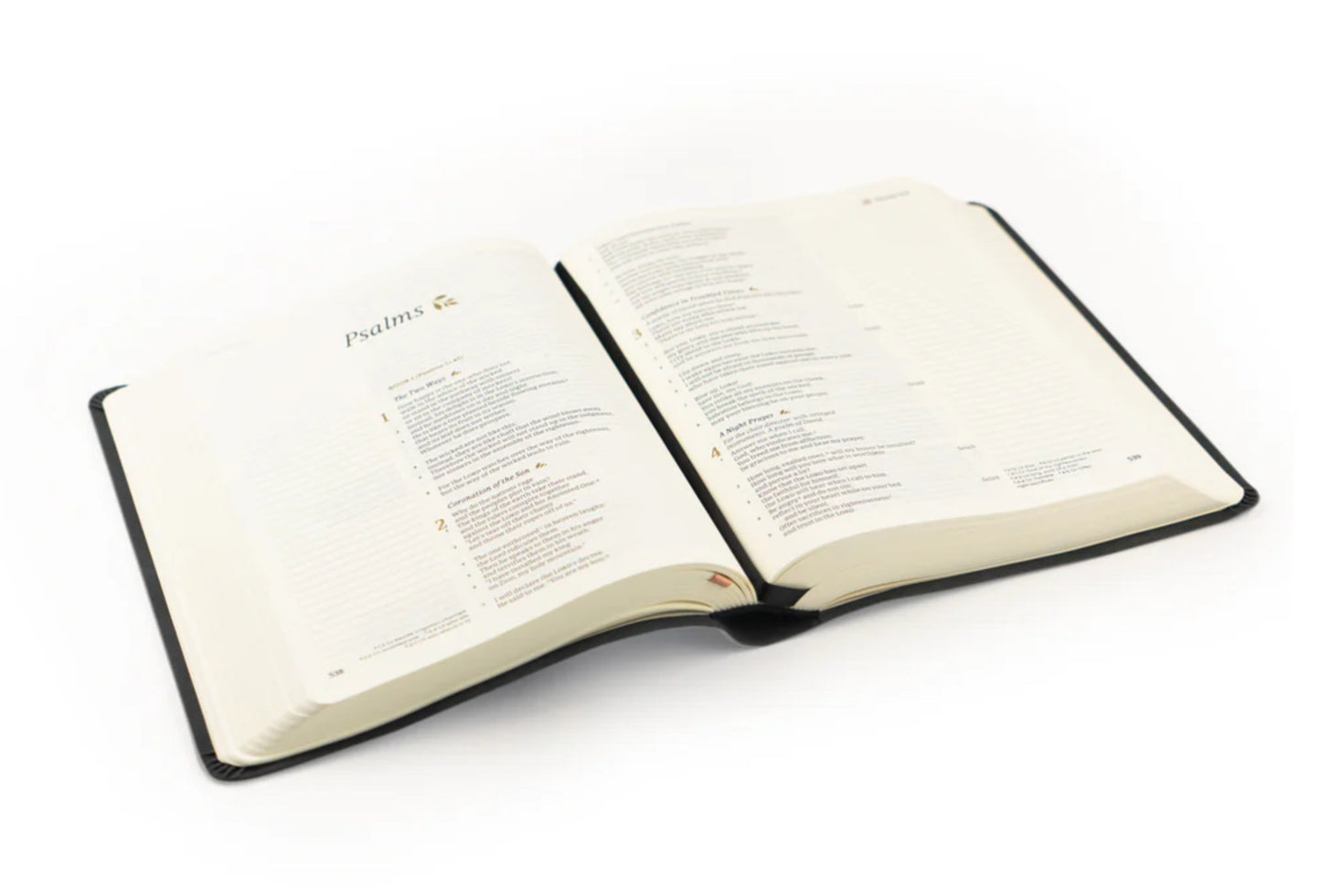 CSB Notetaking Bible: Jerusalem