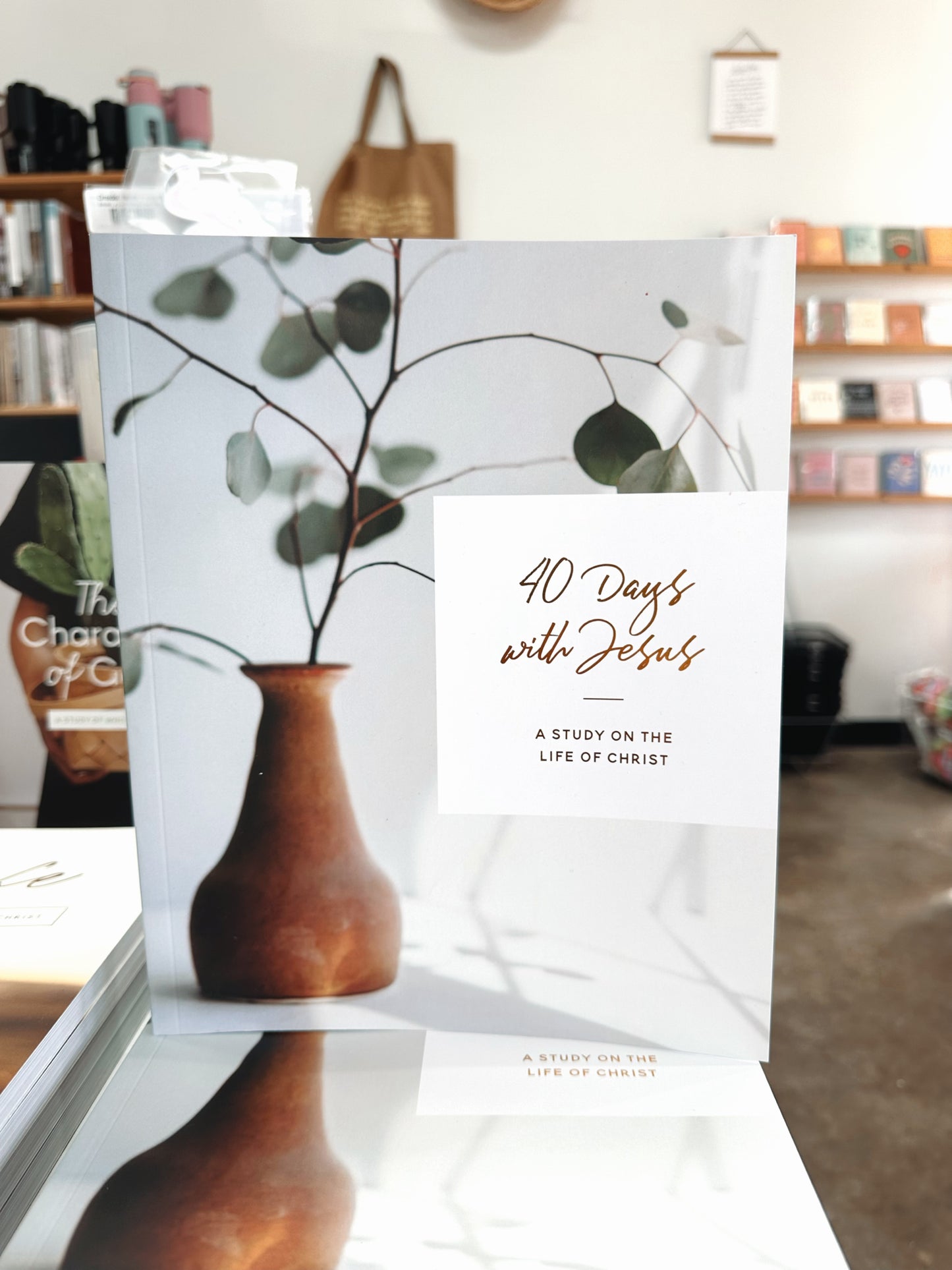 40 Days with Jesus | A Study on the Life of Christ